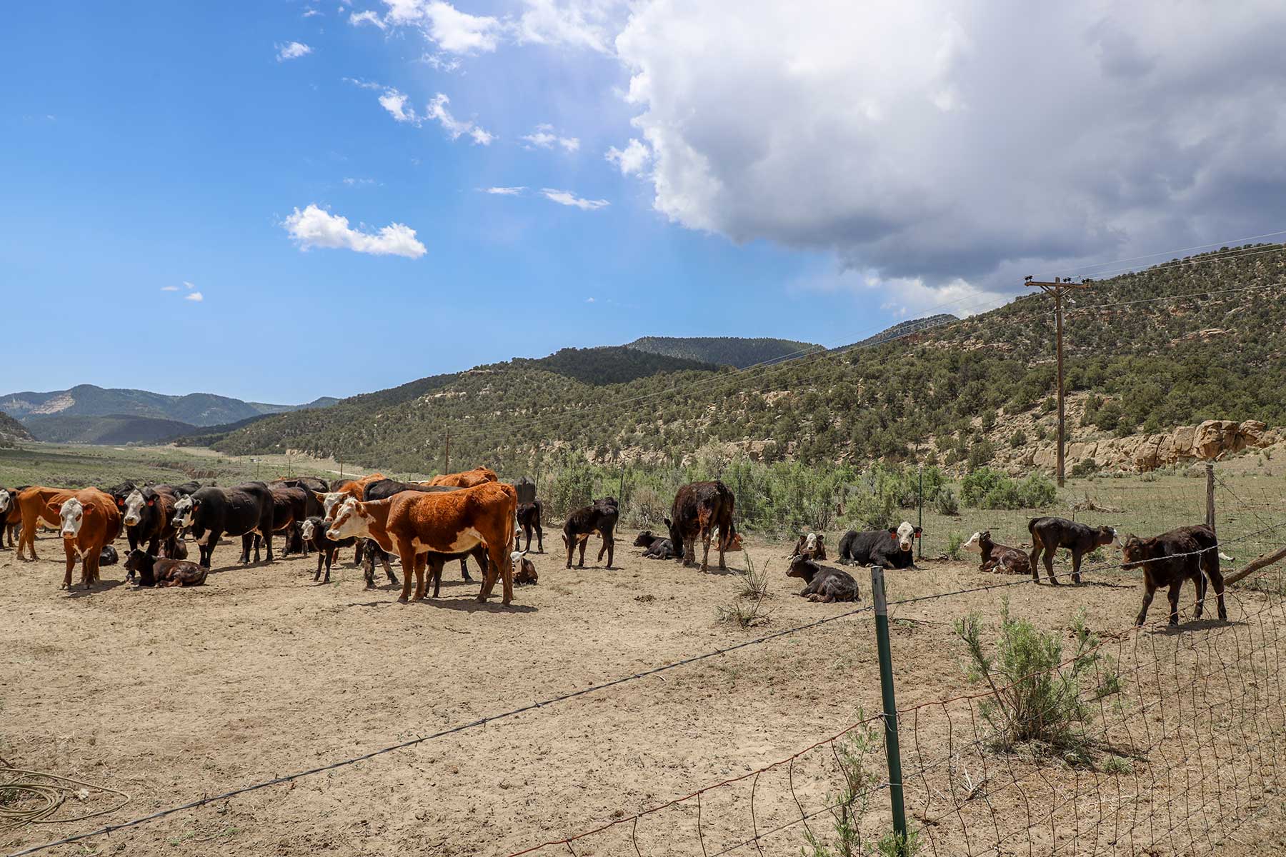 Bitter Creek Ranch property picture 114 of 135