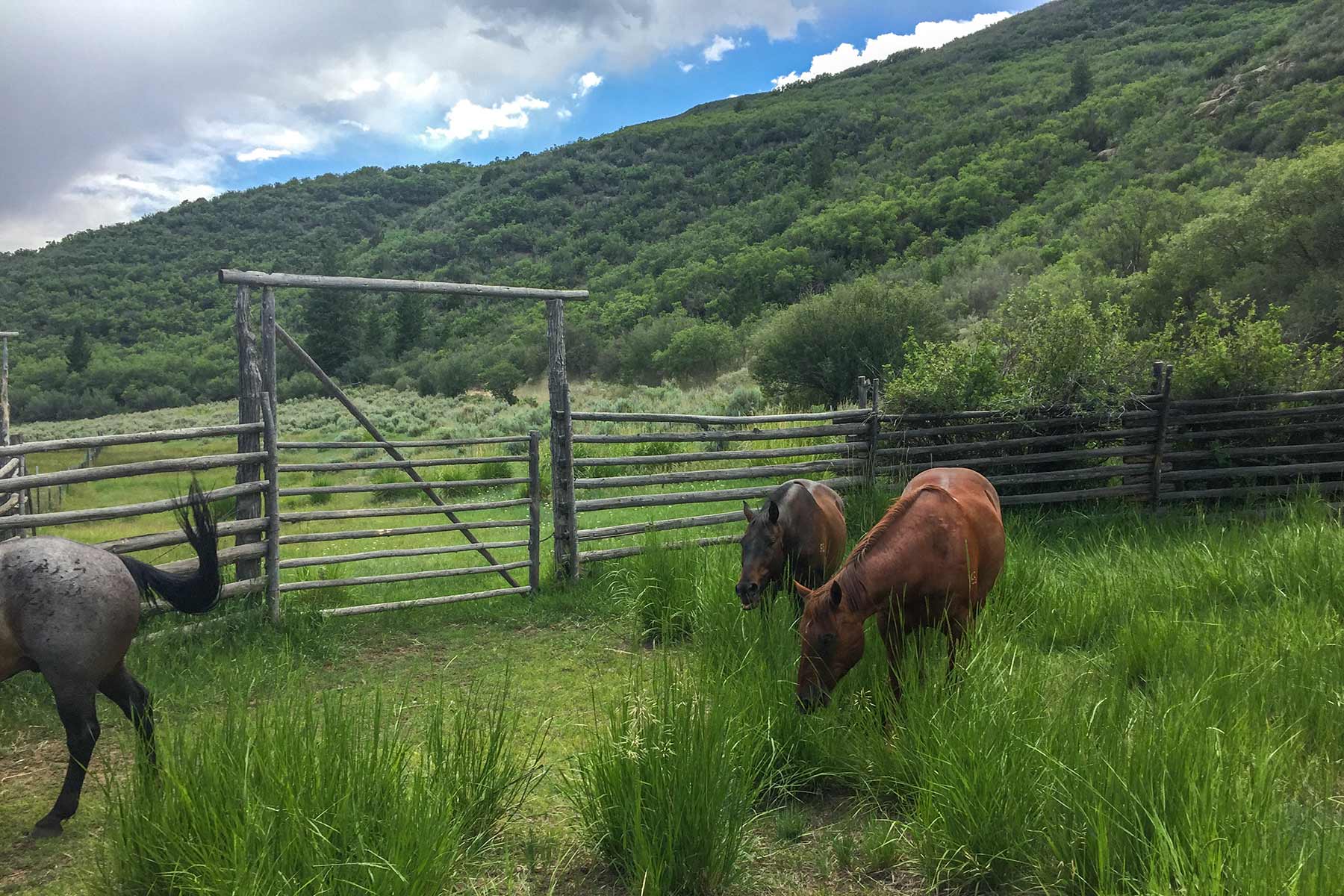 Bitter Creek Ranch property picture 37 of 135