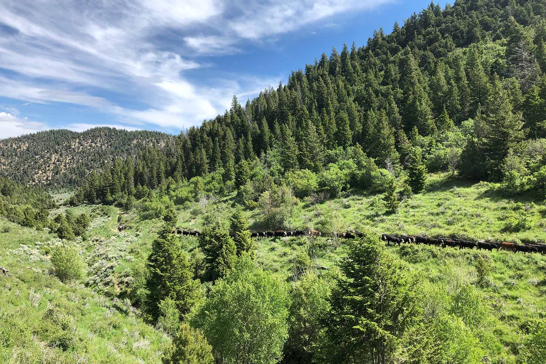 Bitter Creek Ranch property picture 41 of 135