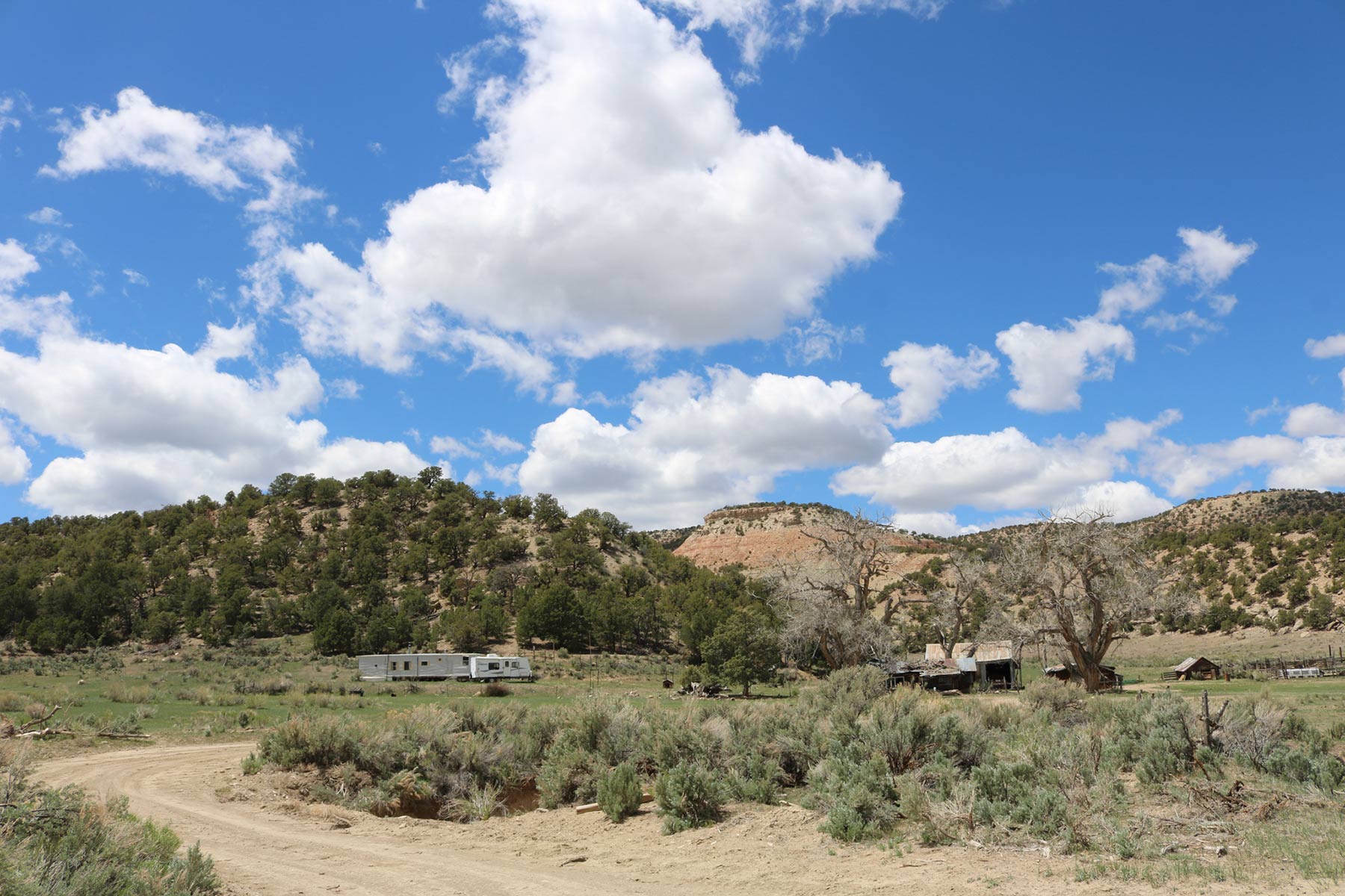 Bitter Creek Ranch Sold Colorado Hall and Hall