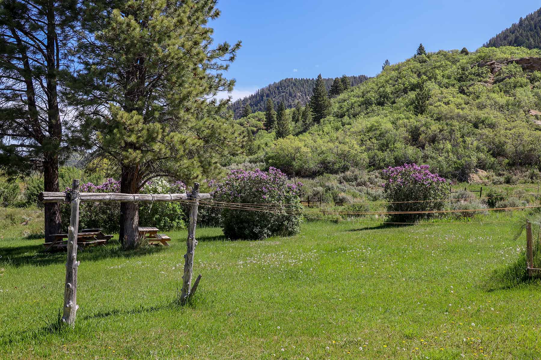 Bitter Creek Ranch property picture 98 of 135