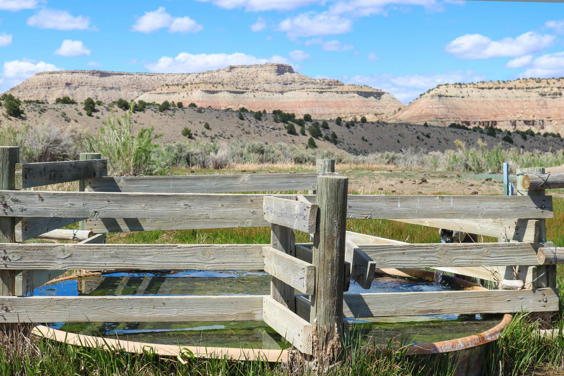 Bitter Creek Ranch property picture 80 of 135