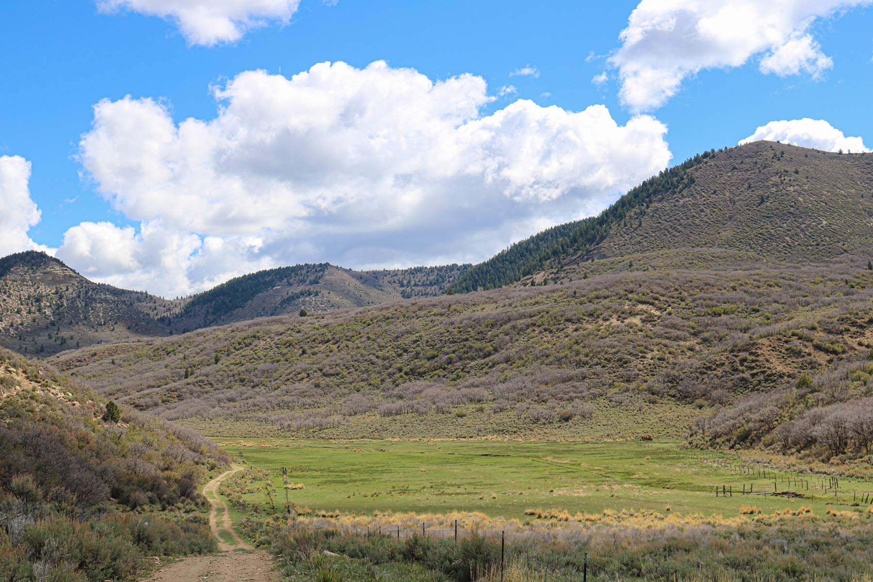 Bitter Creek Ranch Sold Colorado Hall and Hall