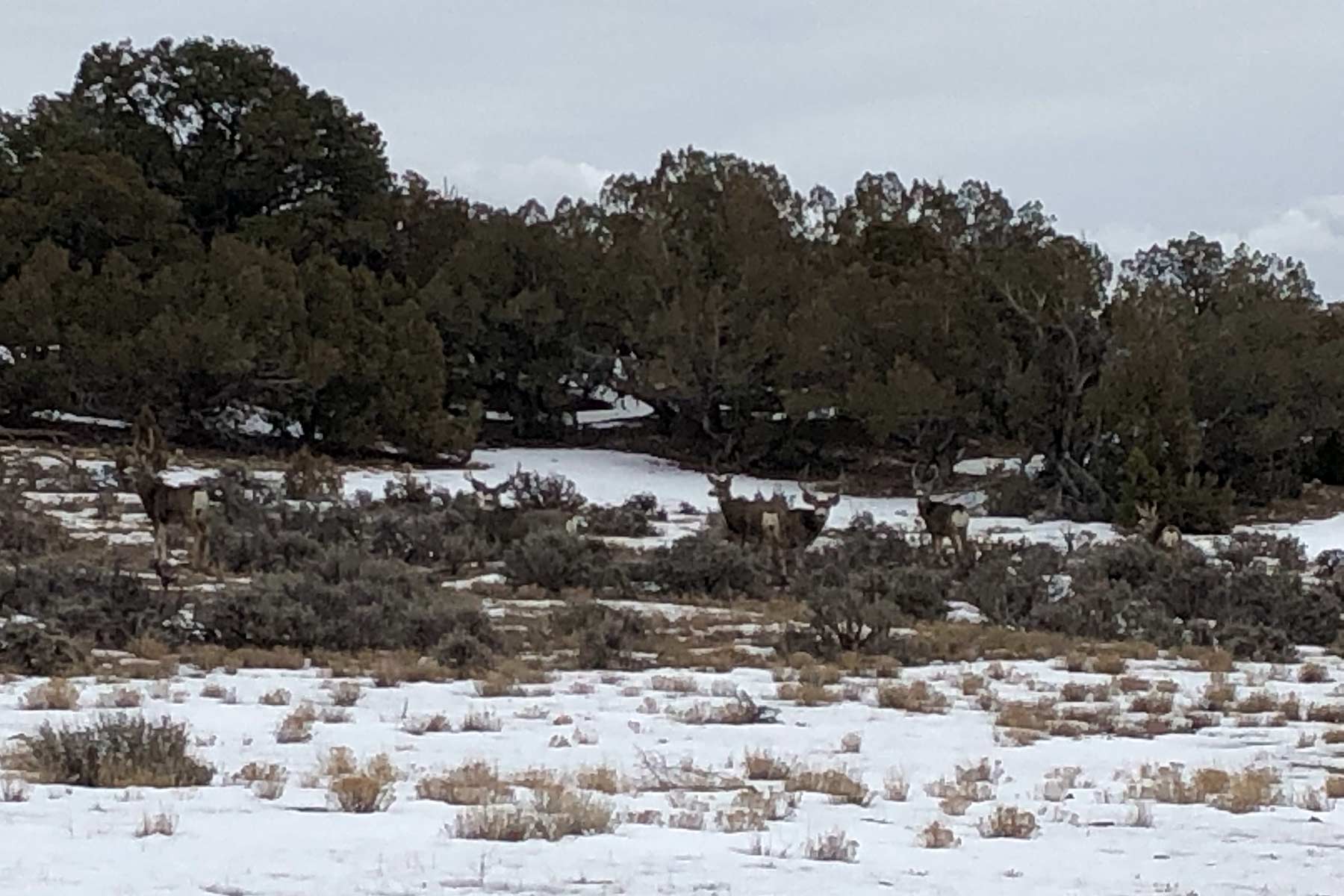 Bitter Creek Ranch property picture 8 of 135