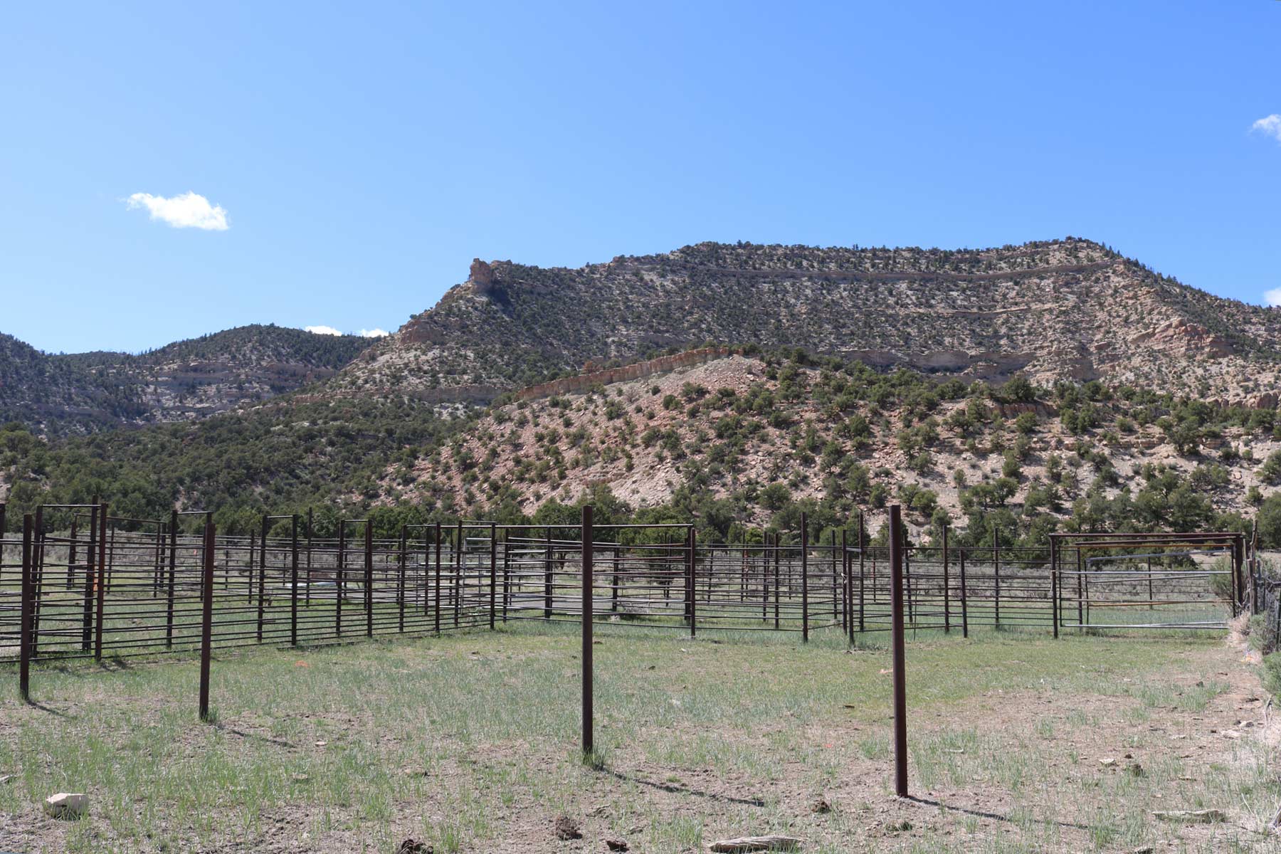 Bitter Creek Ranch property picture 84 of 135