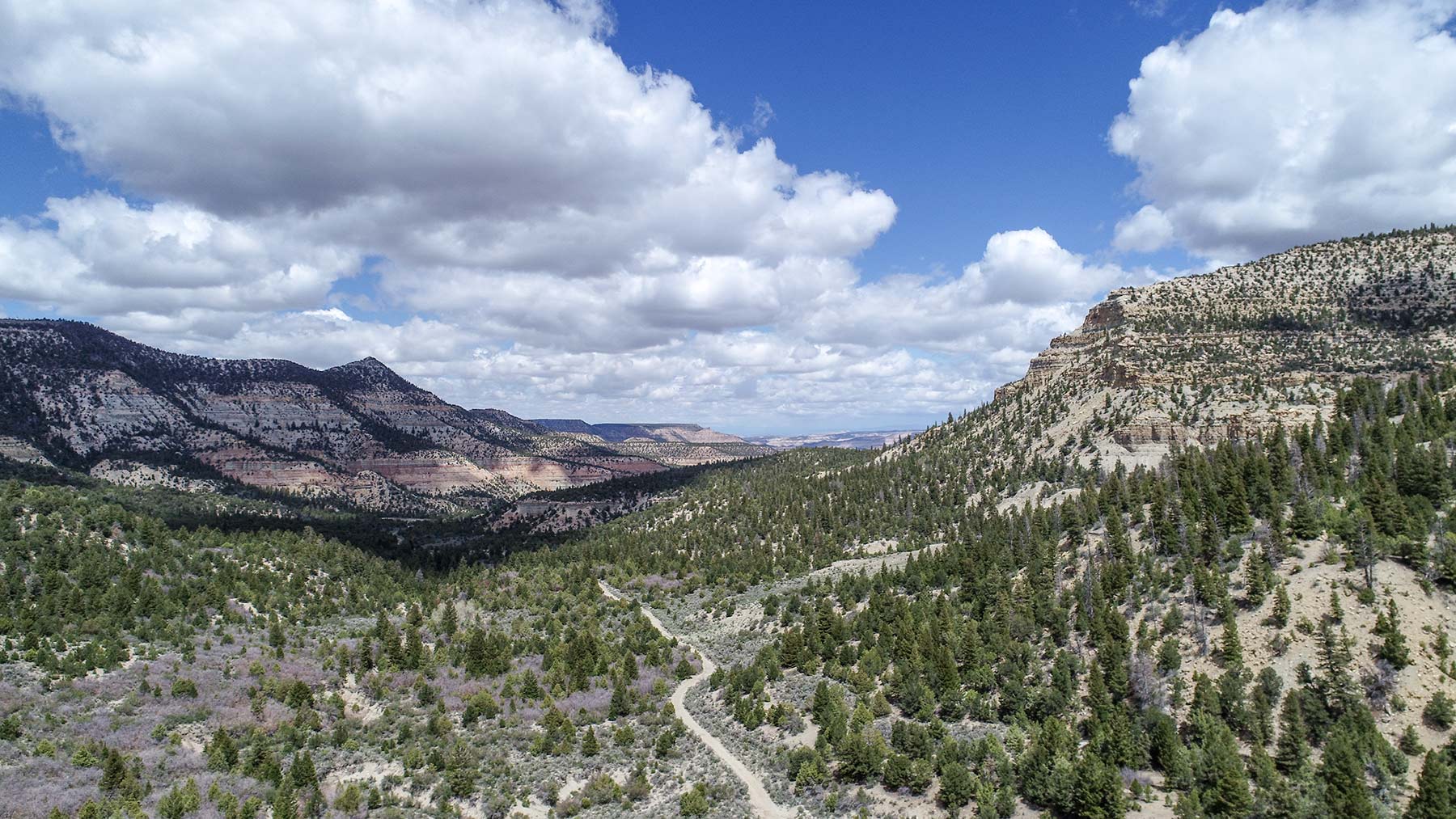 Bitter Creek Ranch property picture 14 of 135