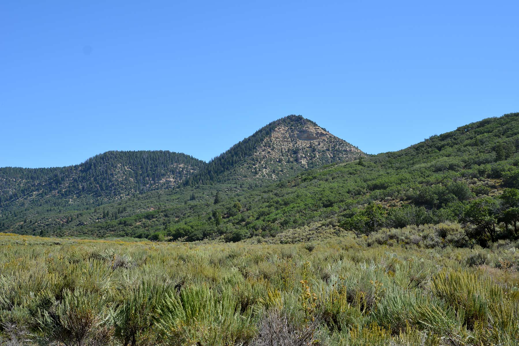 Bitter Creek Ranch property picture 28 of 135