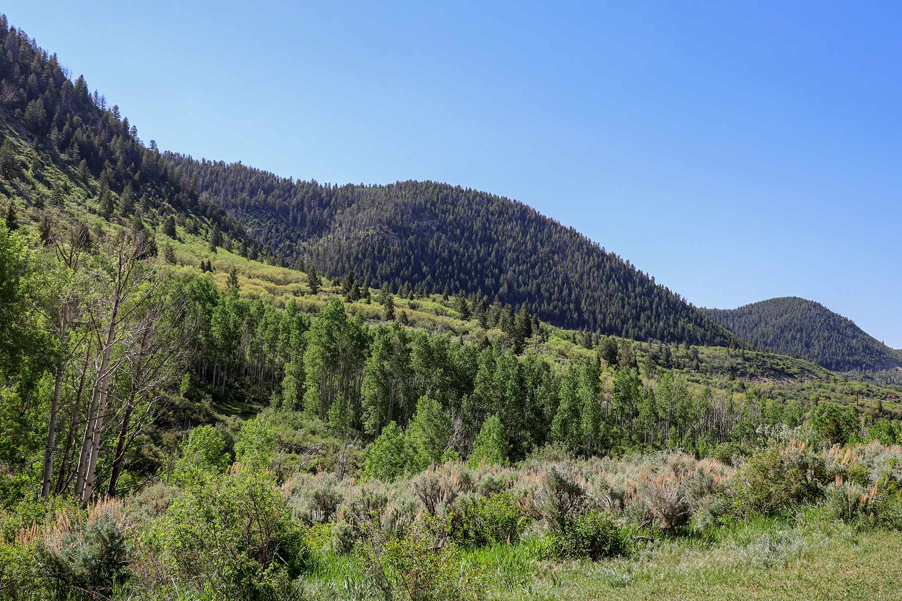 Bitter Creek Ranch property picture 86 of 135