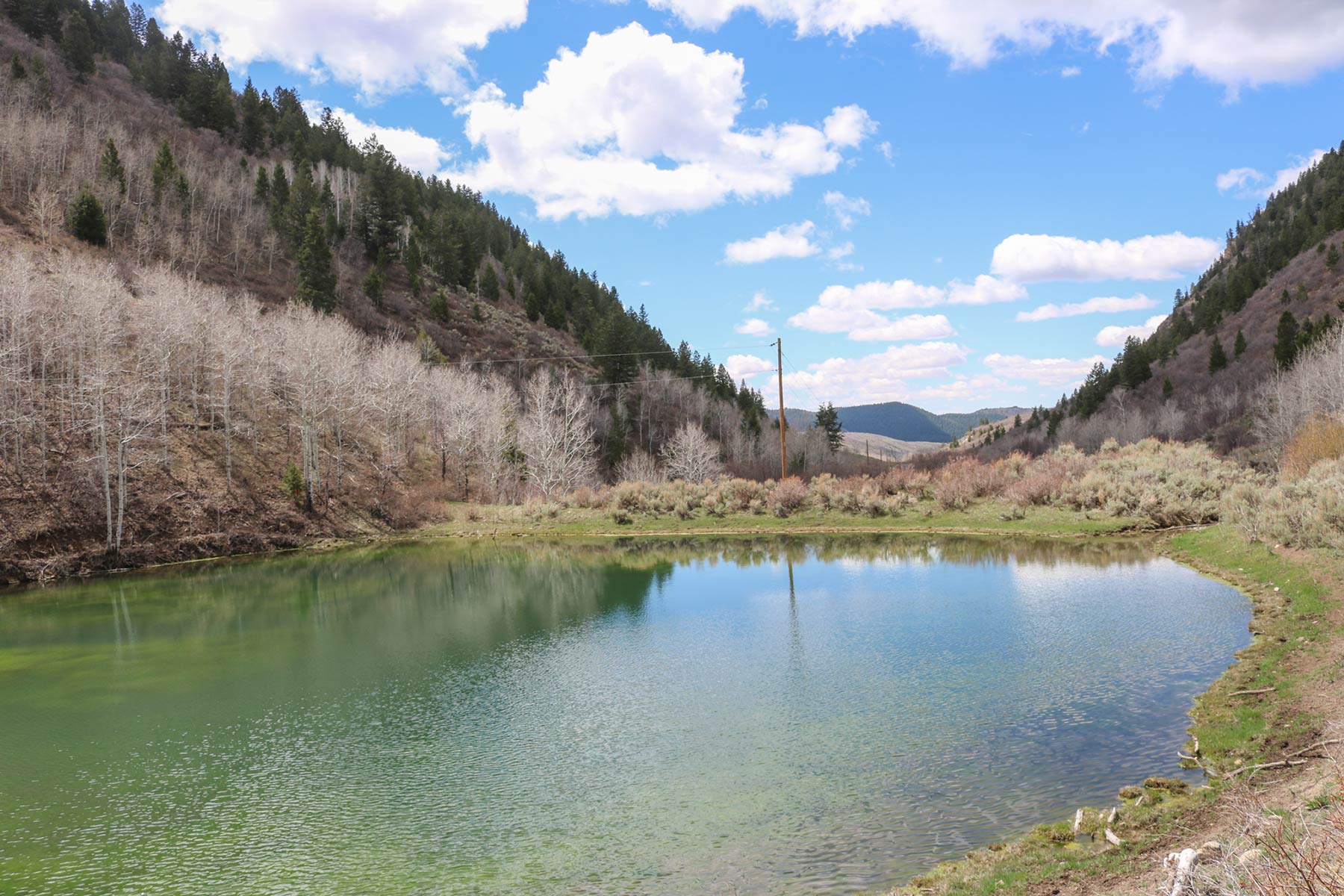 Bitter Creek Ranch property picture 64 of 135