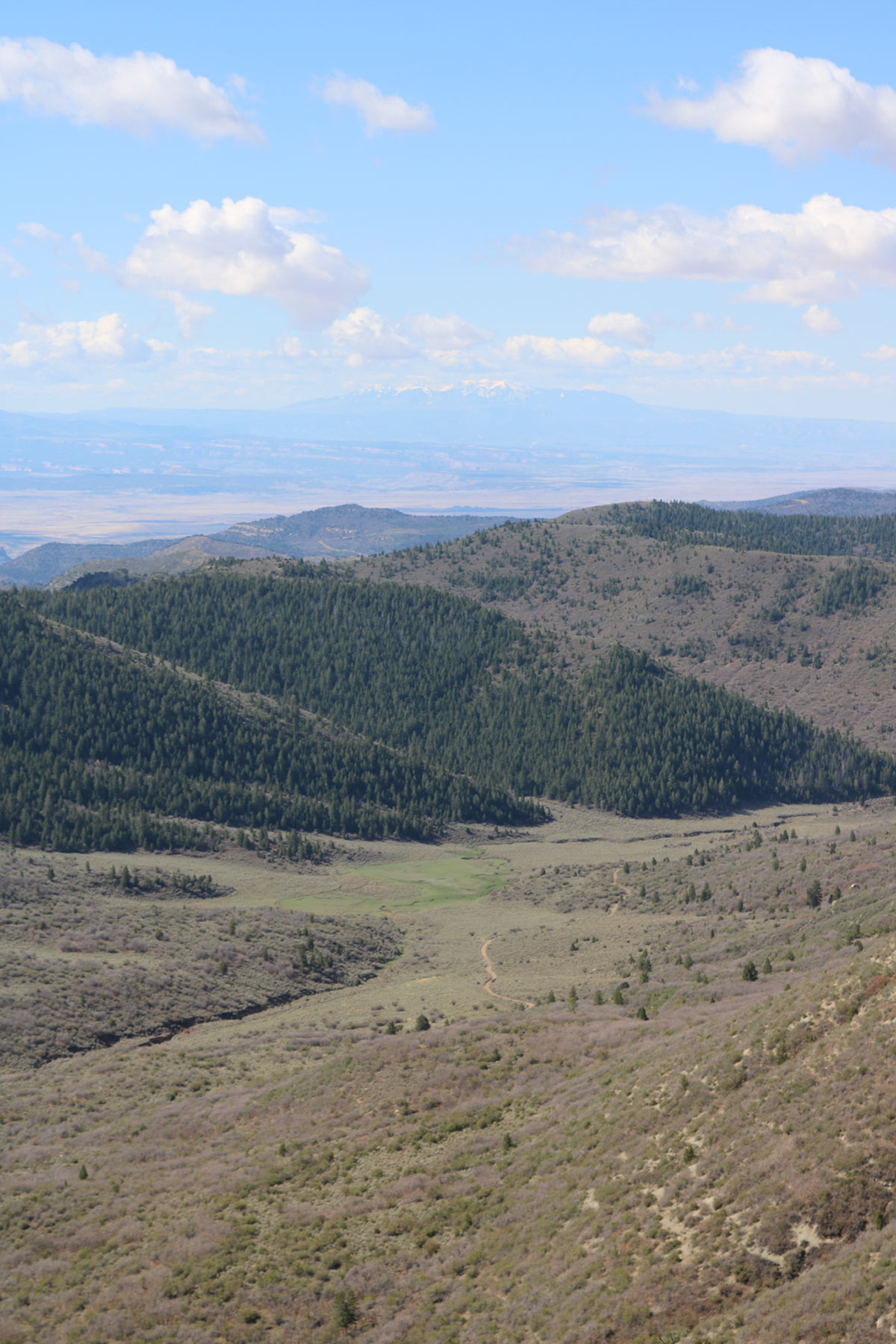 Bitter Creek Ranch property picture 60 of 135
