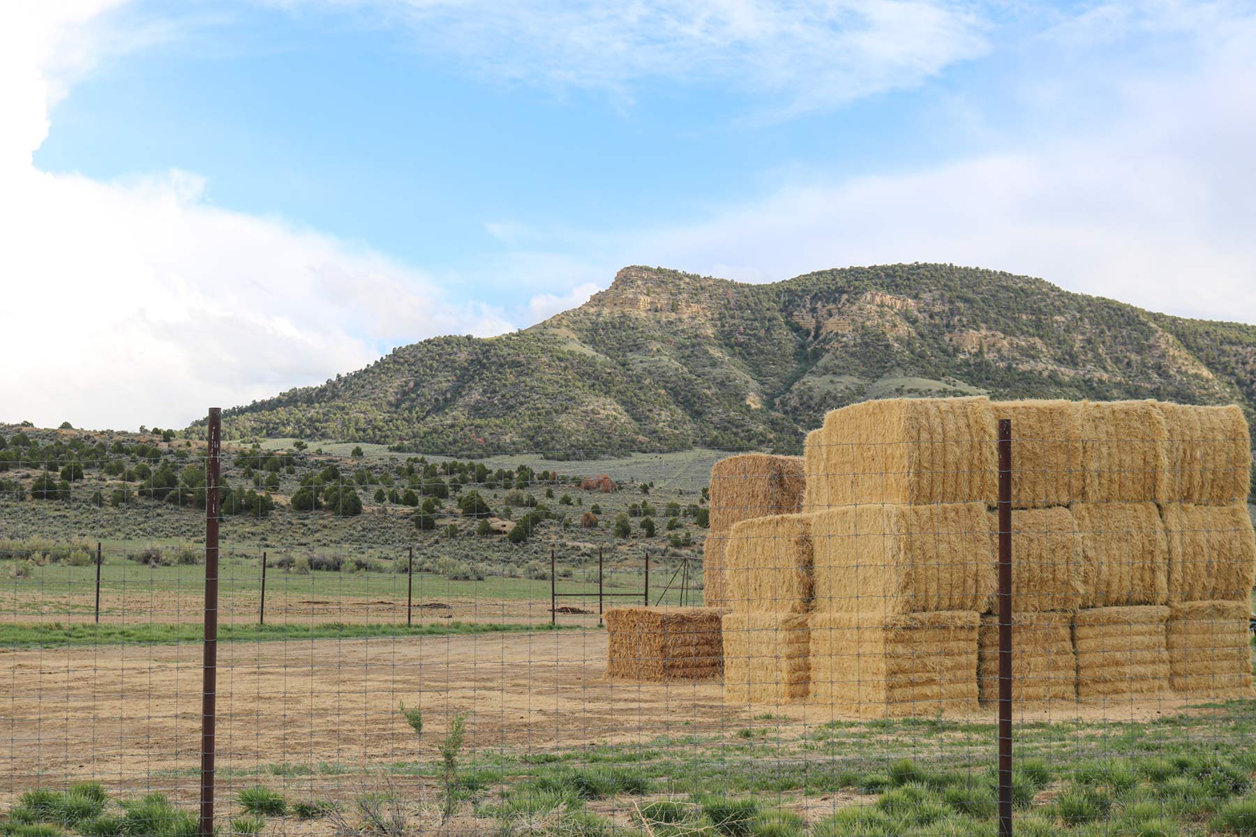 Bitter Creek Ranch property picture 48 of 135