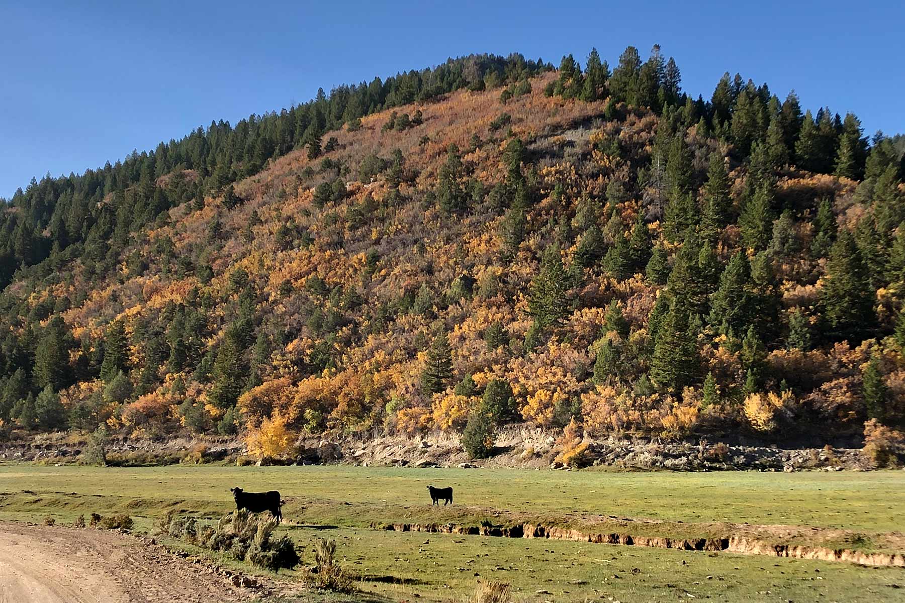 Bitter Creek Ranch property picture 33 of 135