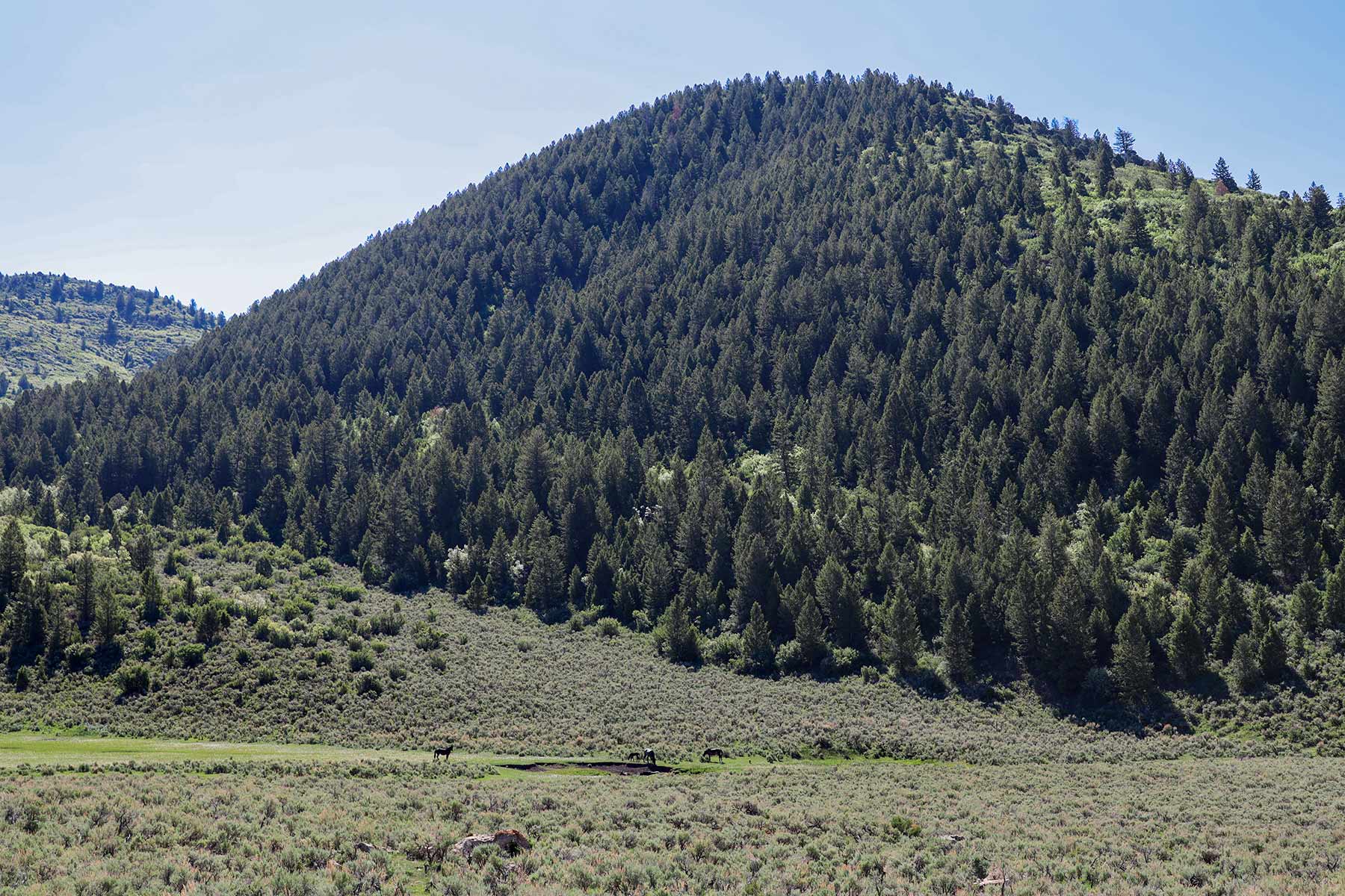 Bitter Creek Ranch property picture 91 of 135