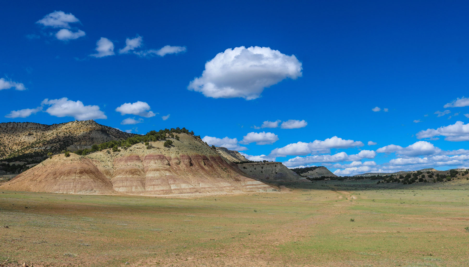 Bitter Creek Ranch property picture 83 of 135