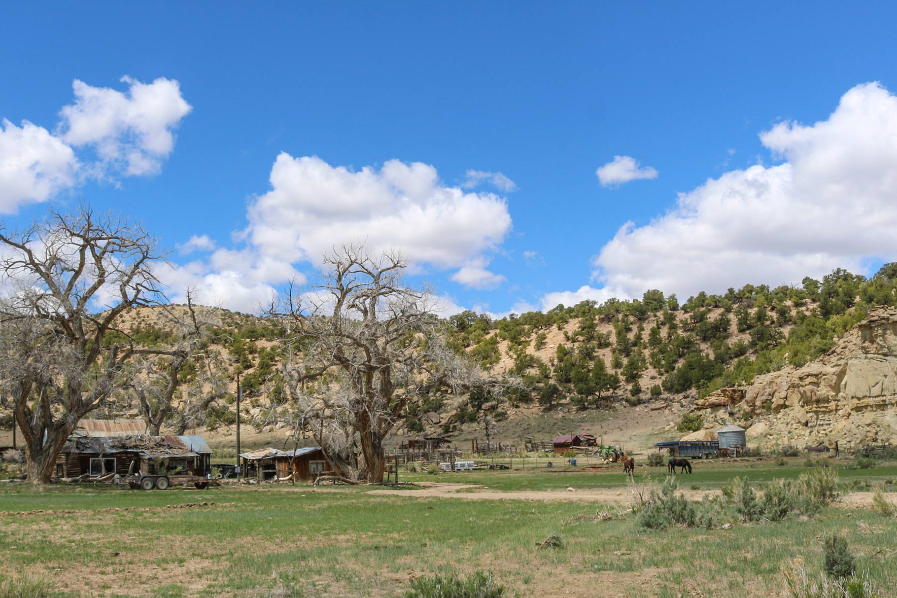 Bitter Creek Ranch Sold Colorado Hall and Hall