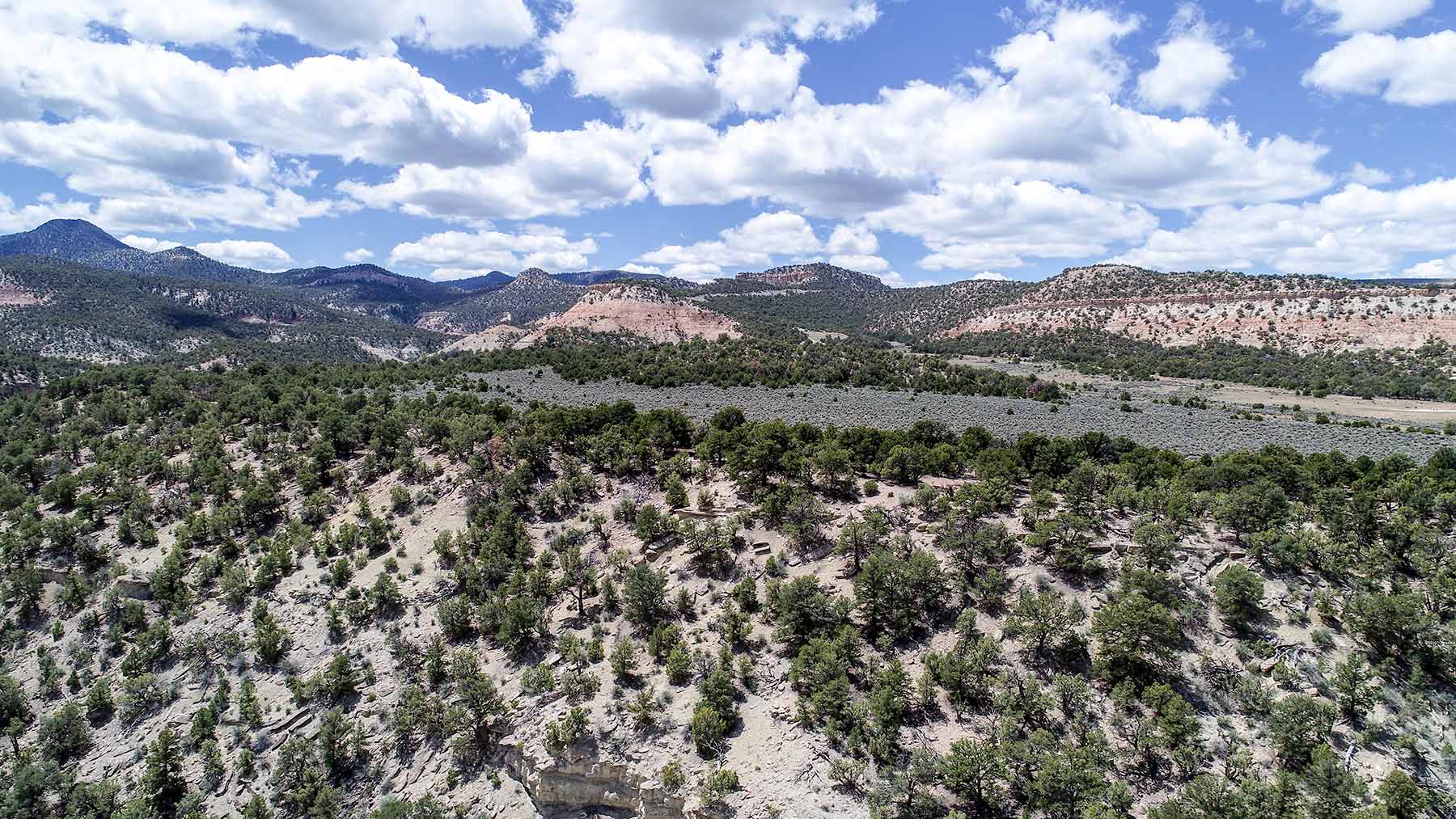 Bitter Creek Ranch property picture 20 of 135