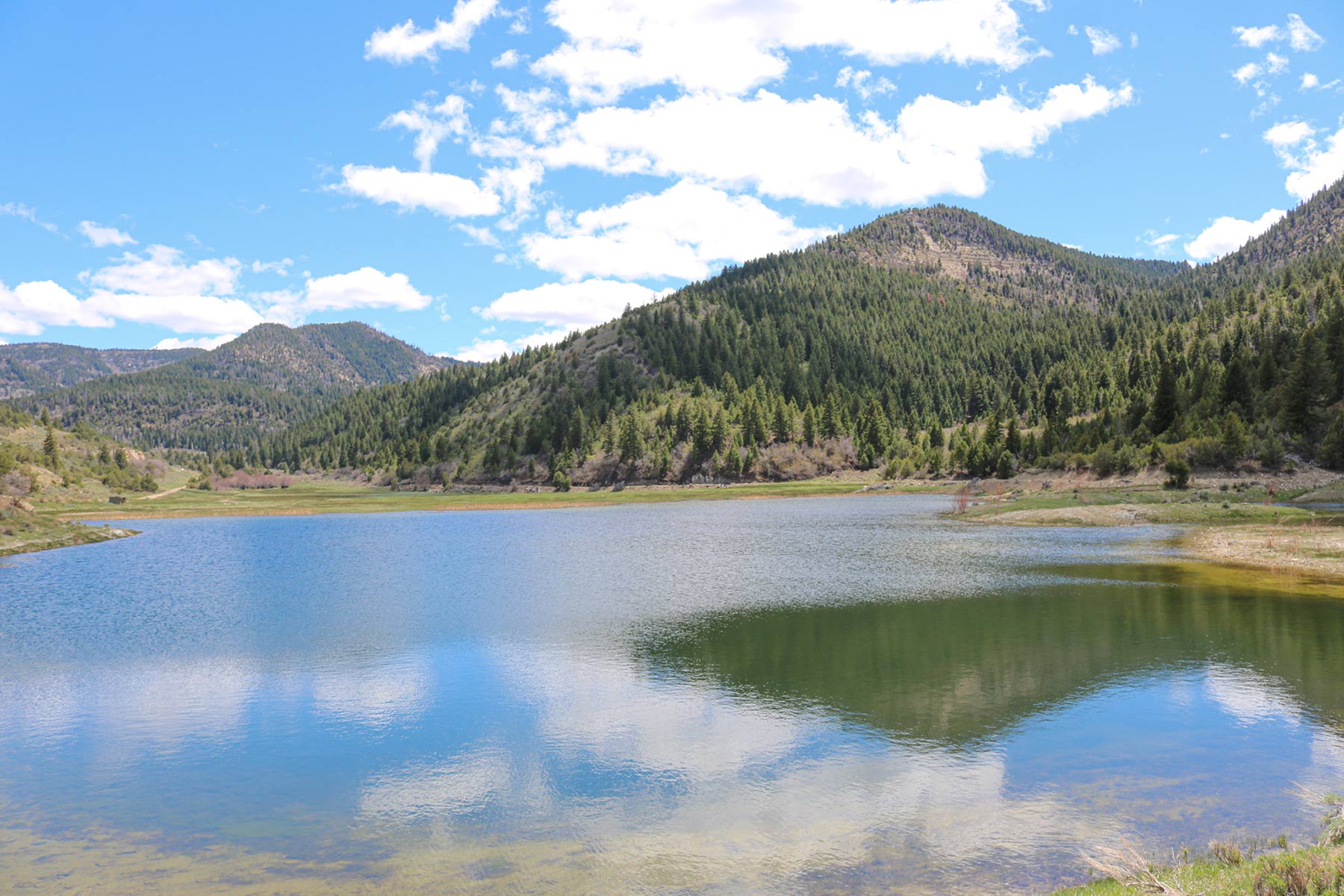 Bitter Creek Ranch property picture 76 of 135