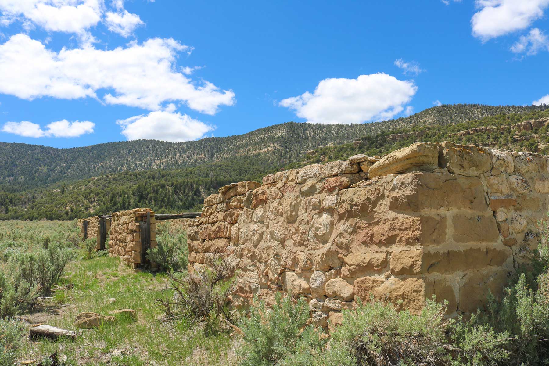 Bitter Creek Ranch Sold Colorado Hall and Hall