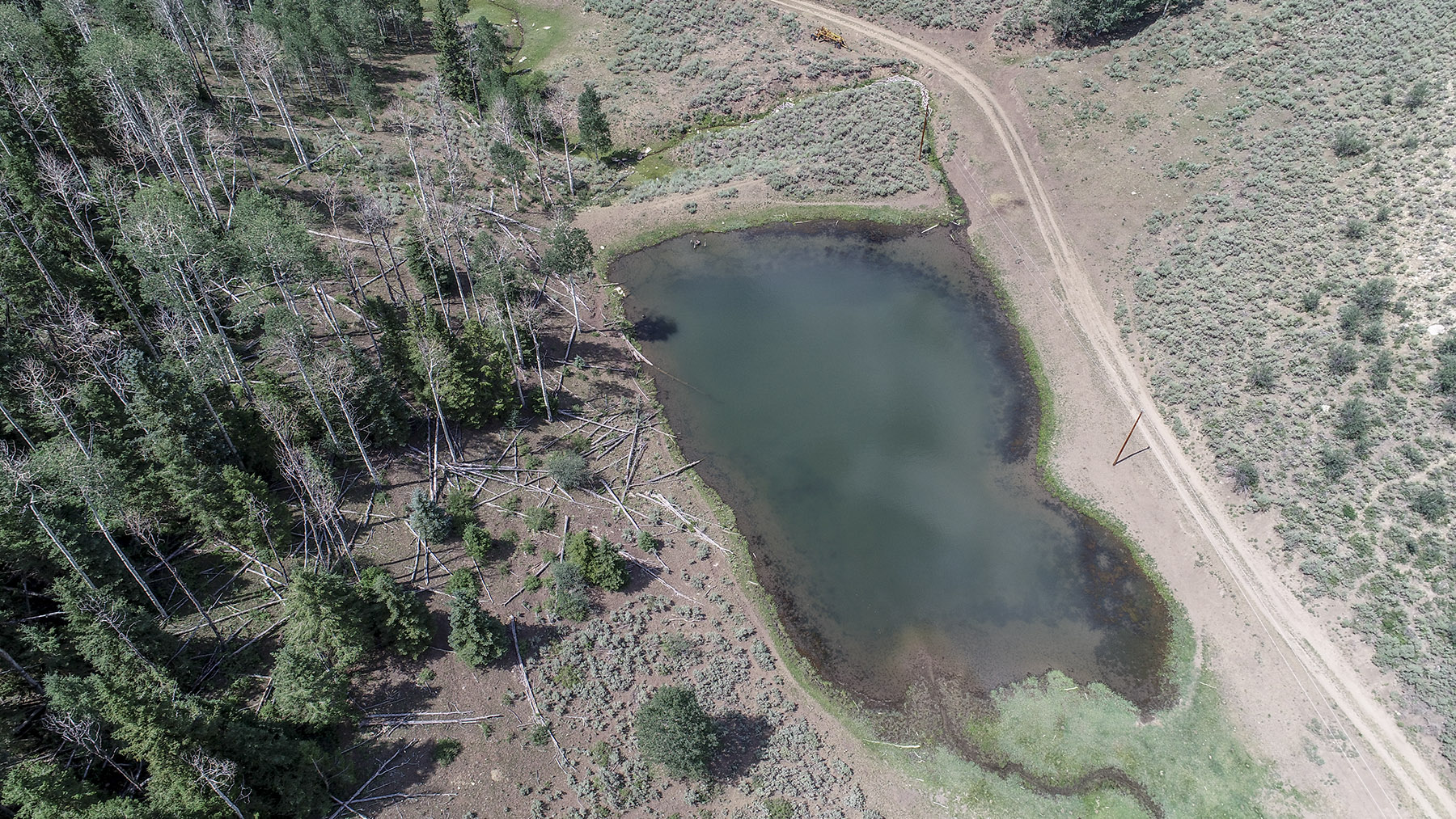 Bitter Creek Ranch property picture 135 of 135