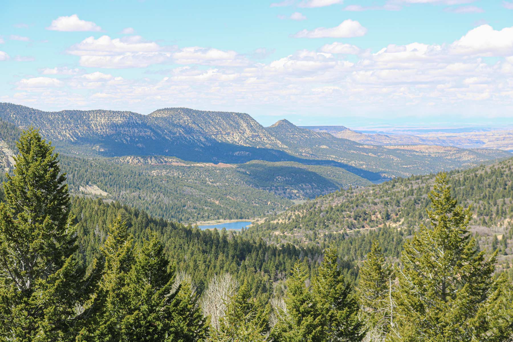 Bitter Creek Ranch property picture 85 of 135