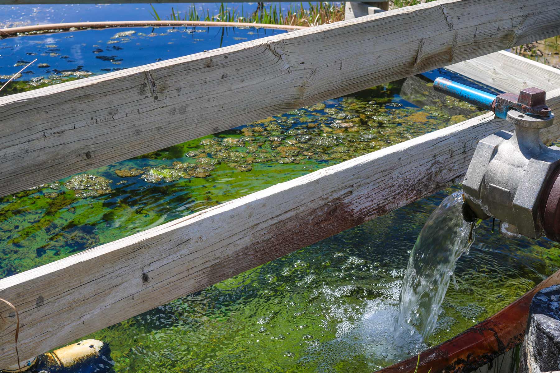 Bitter Creek Ranch property picture 79 of 135