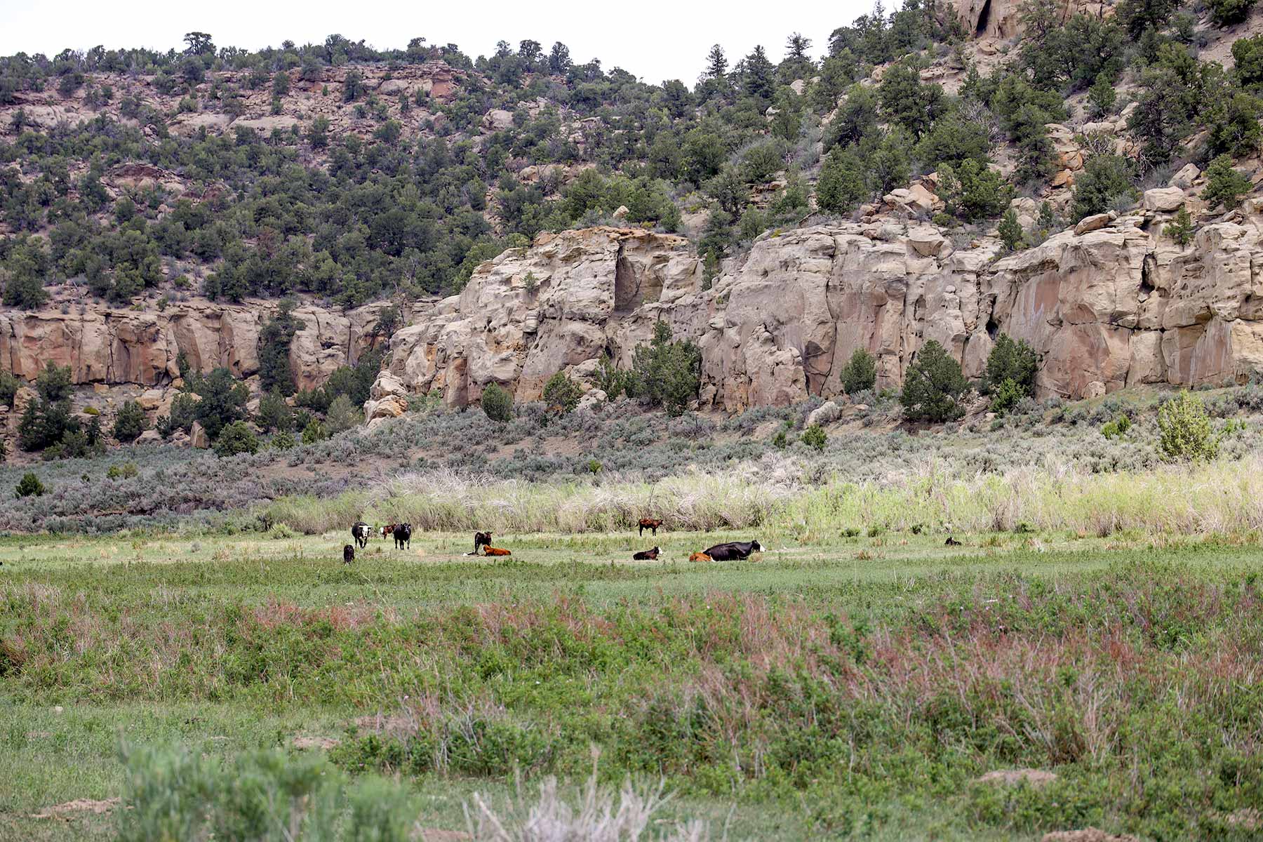 Bitter Creek Ranch property picture 112 of 135