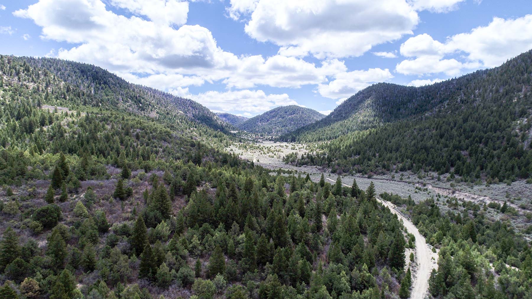 Bitter Creek Ranch property picture 15 of 135