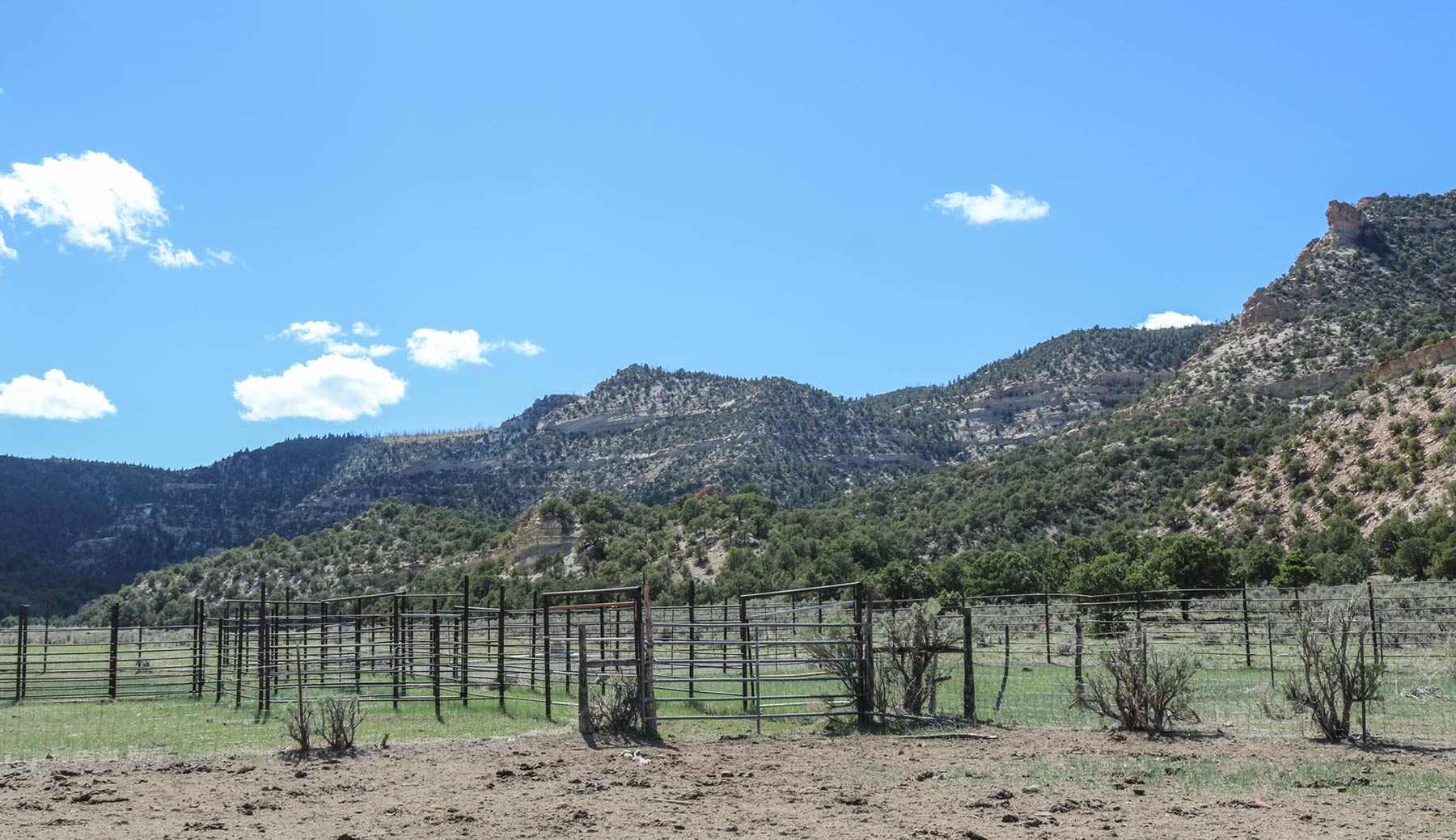 Bitter Creek Ranch Sold Colorado Hall and Hall