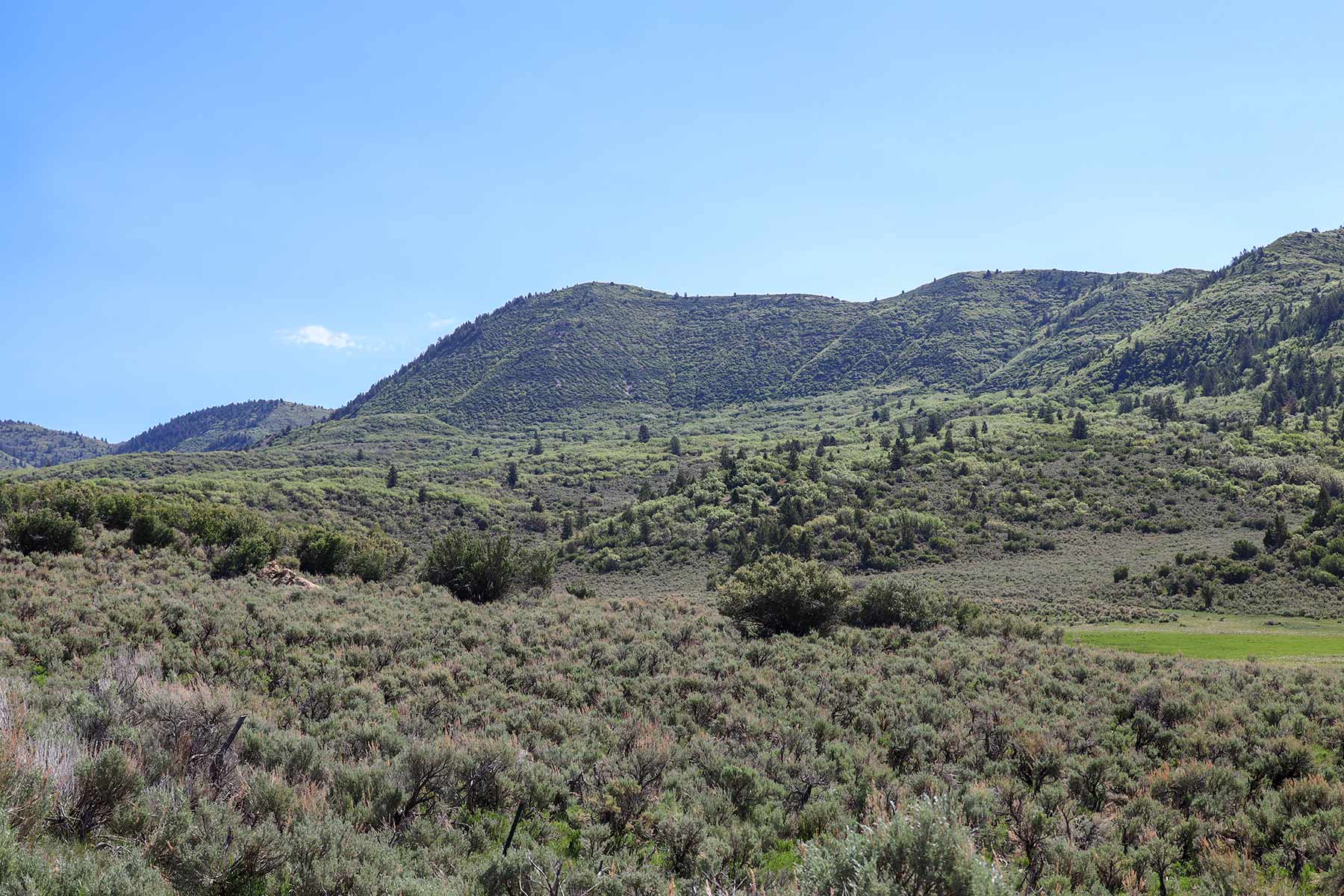Bitter Creek Ranch property picture 92 of 135