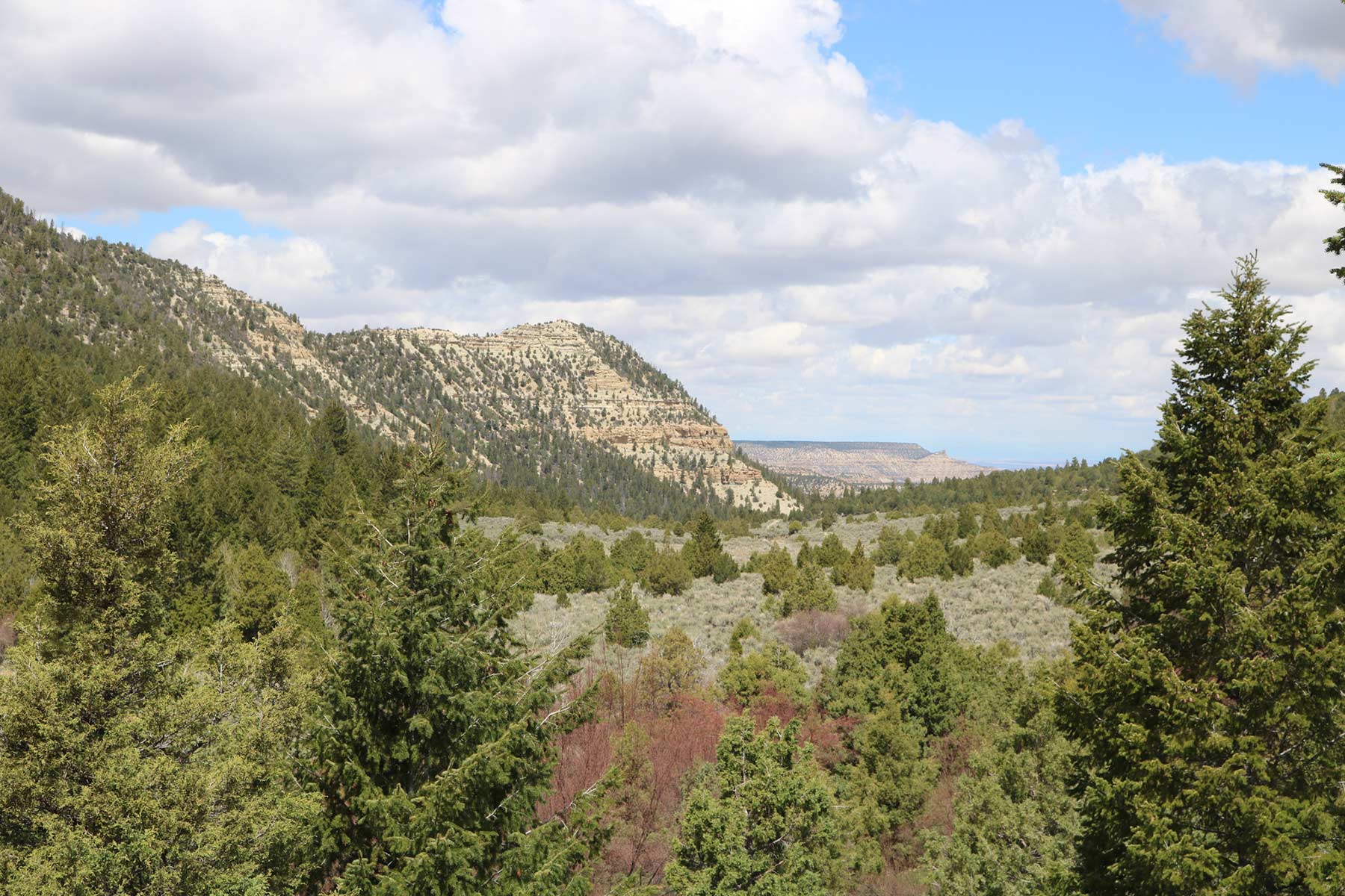 Bitter Creek Ranch property picture 67 of 135