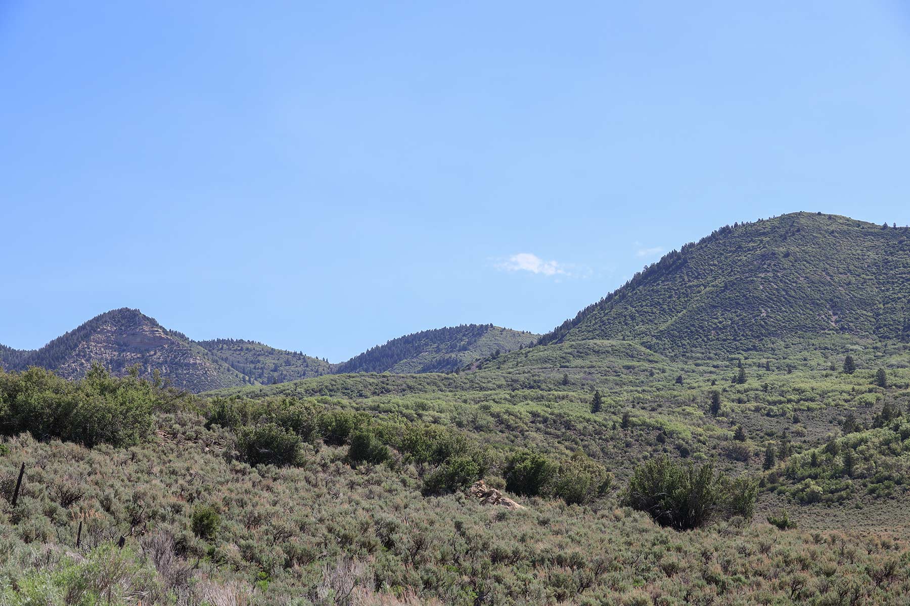 Bitter Creek Ranch property picture 93 of 135