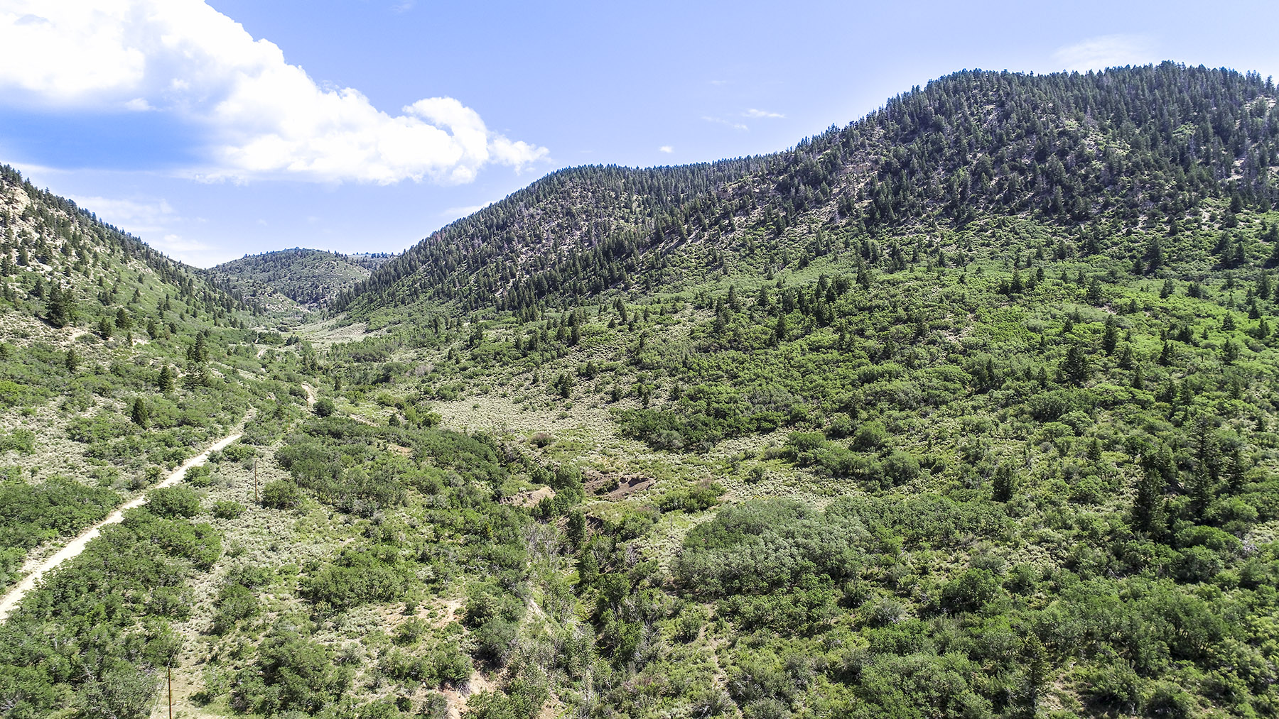 Bitter Creek Ranch property picture 127 of 135