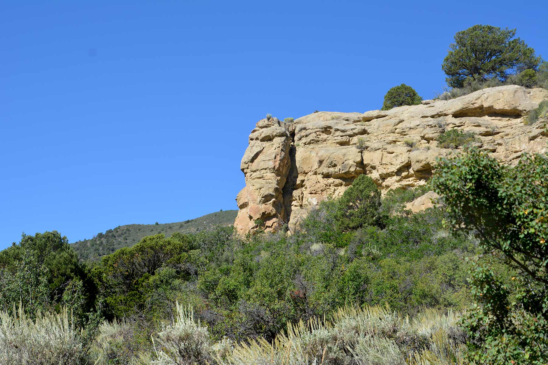 Bitter Creek Ranch property picture 27 of 135