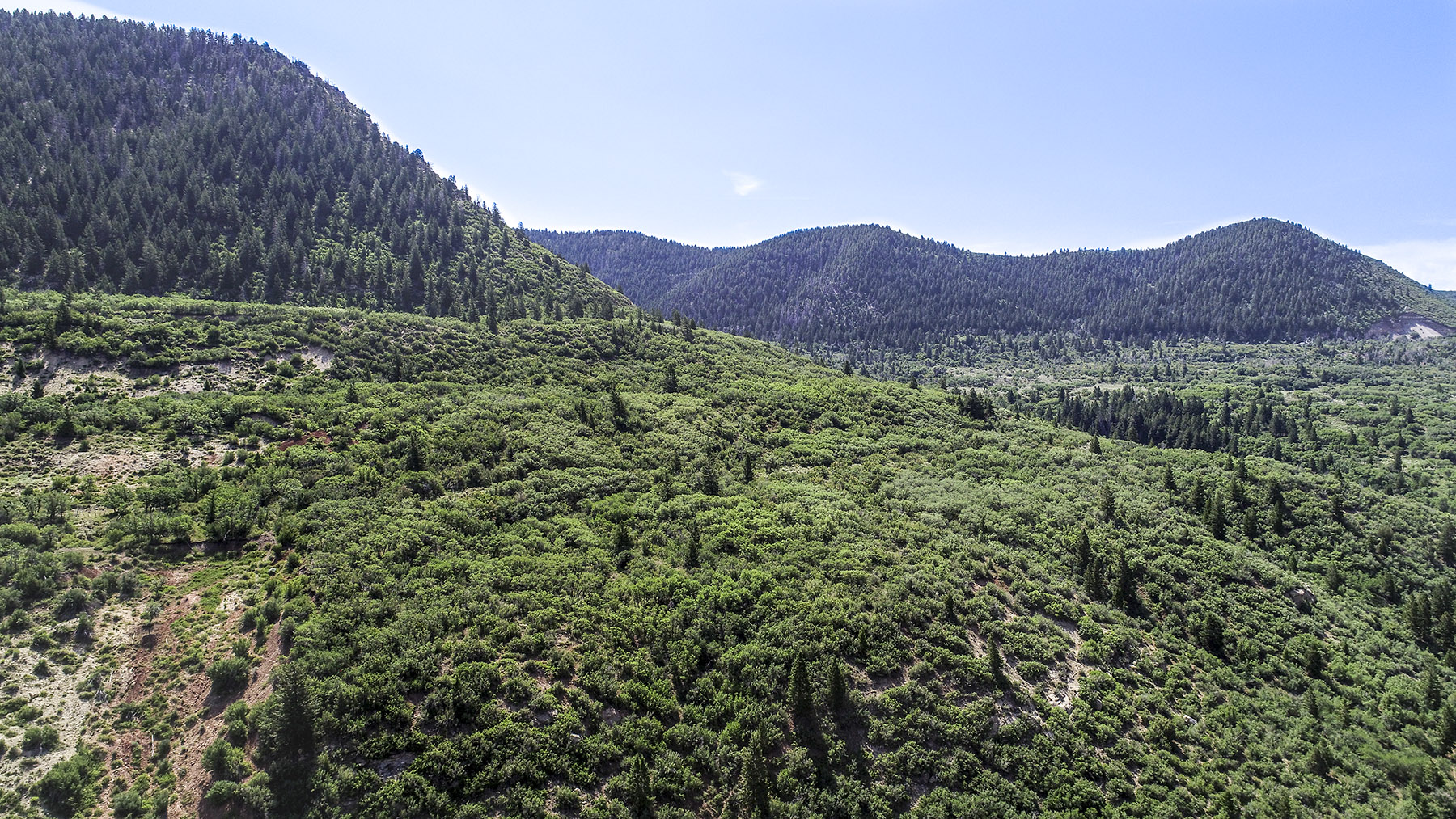 Bitter Creek Ranch property picture 131 of 135