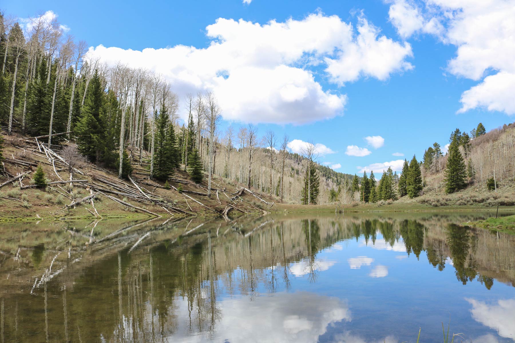 Bitter Creek Ranch property picture 65 of 135