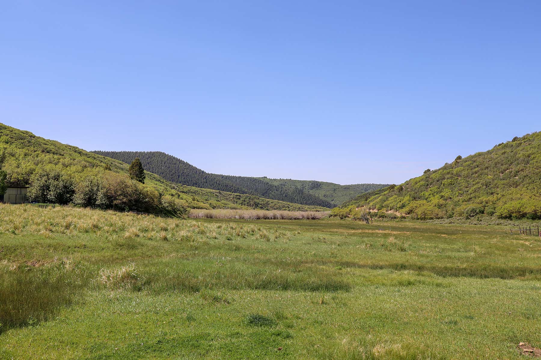 Bitter Creek Ranch property picture 100 of 135