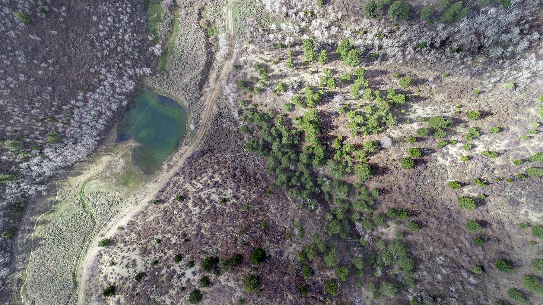 Bitter Creek Ranch property picture 9 of 135