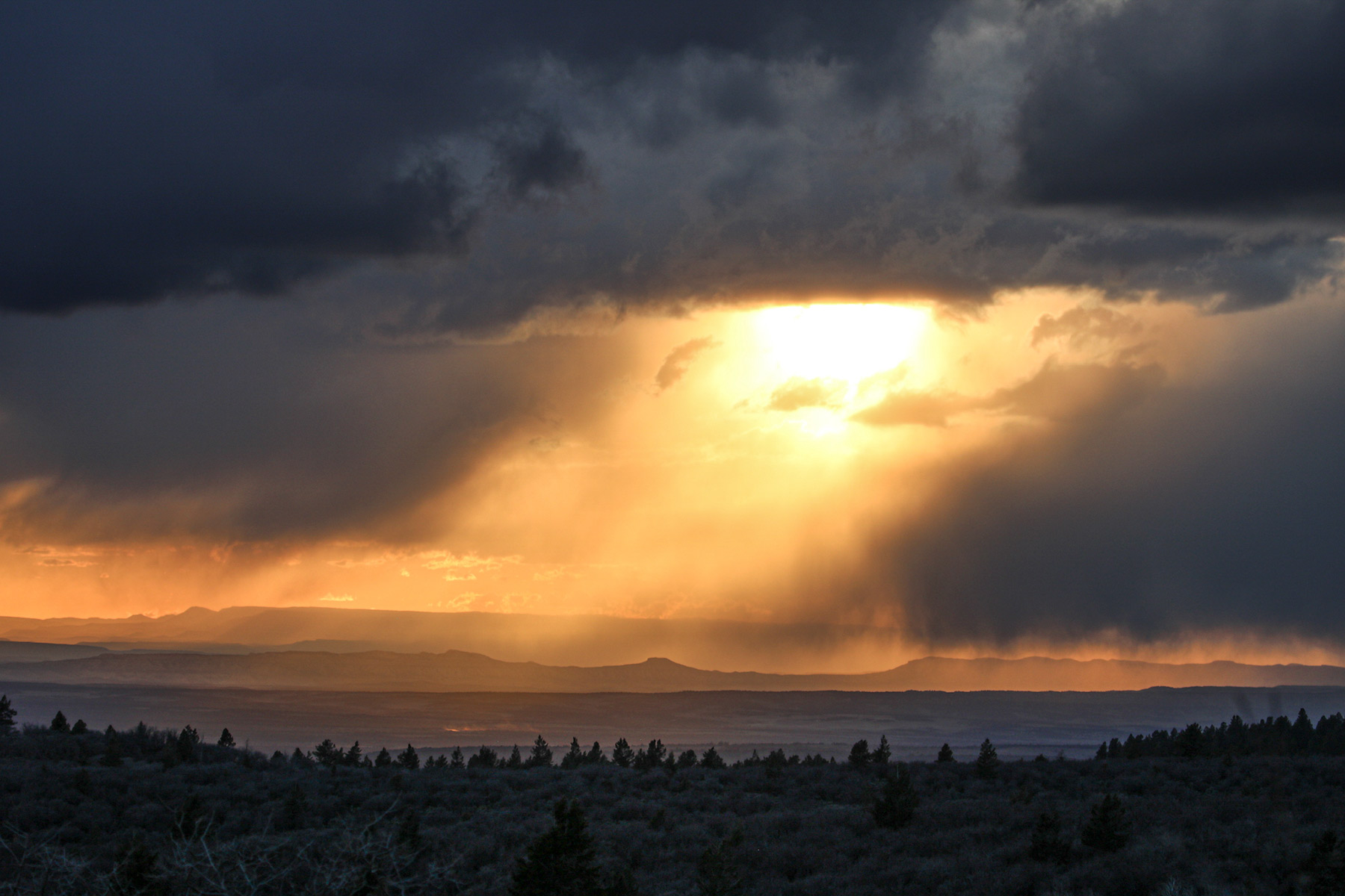 Bitter Creek Ranch property picture 50 of 135