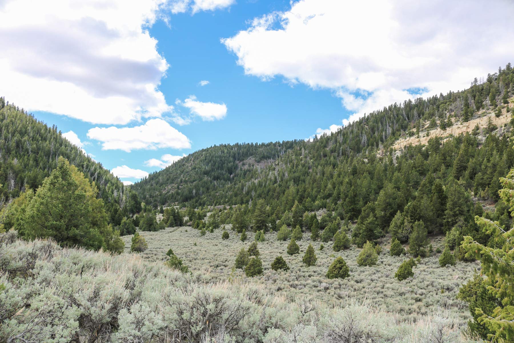 Bitter Creek Ranch property picture 66 of 135