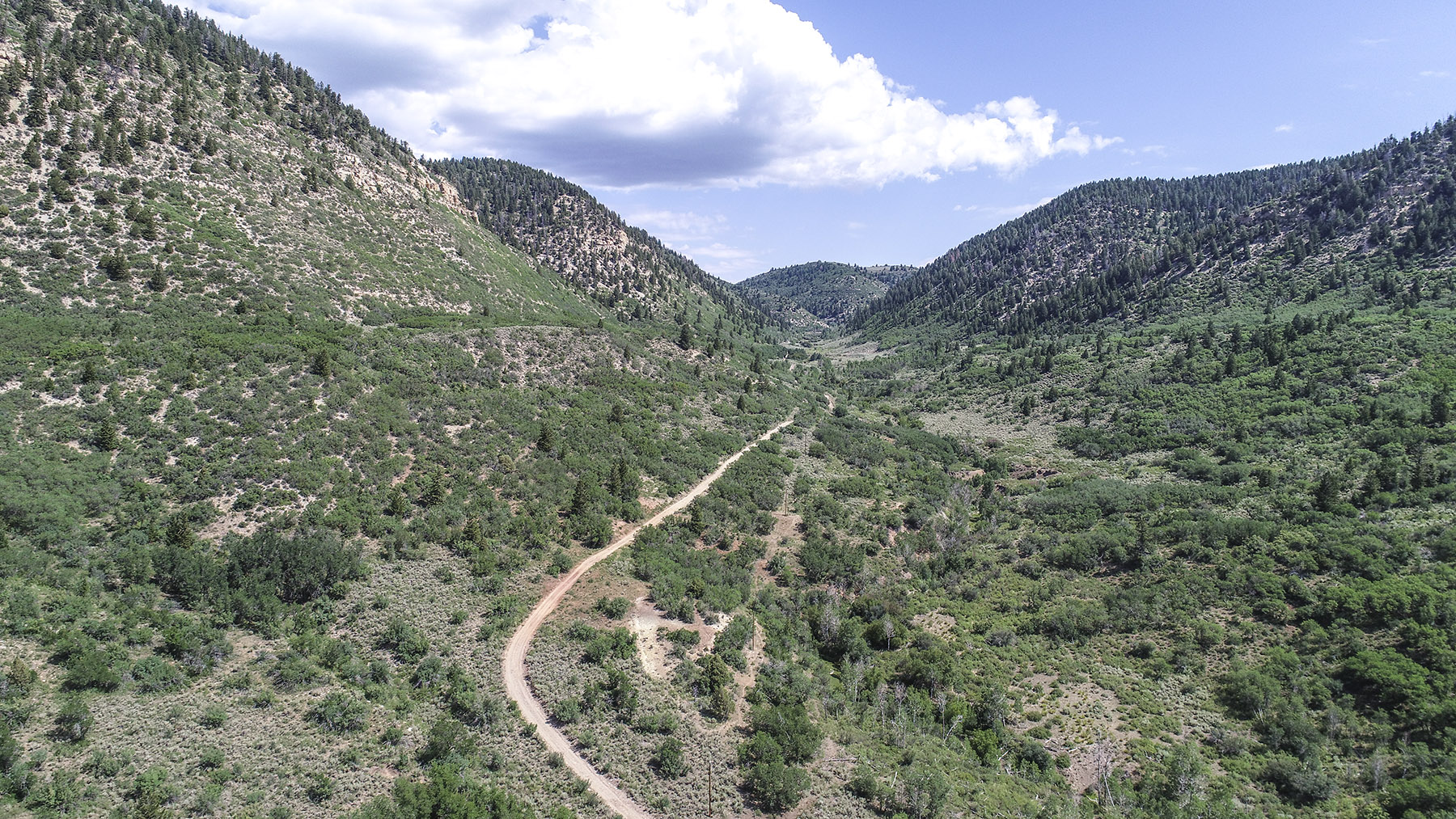Bitter Creek Ranch property picture 132 of 135