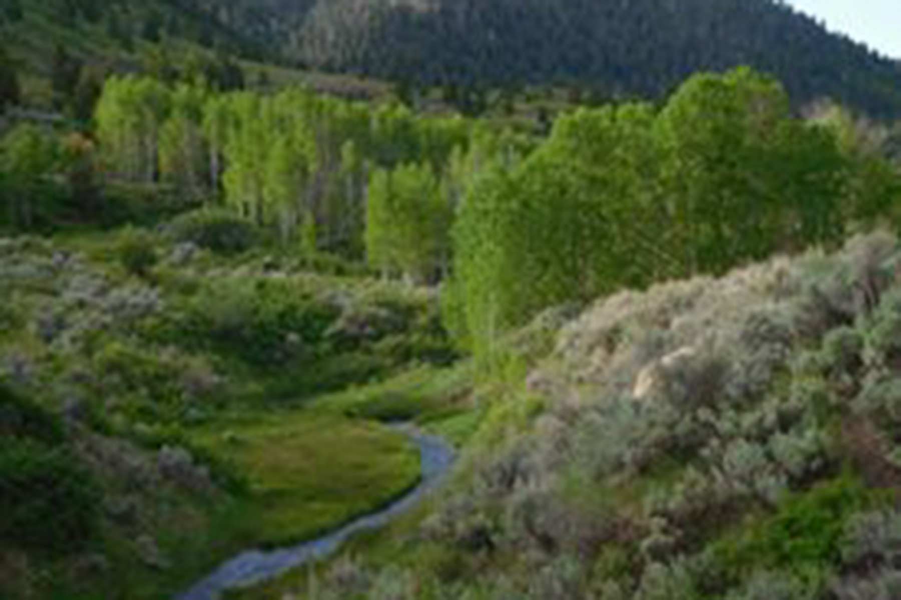 Bitter Creek Ranch property picture 3 of 135