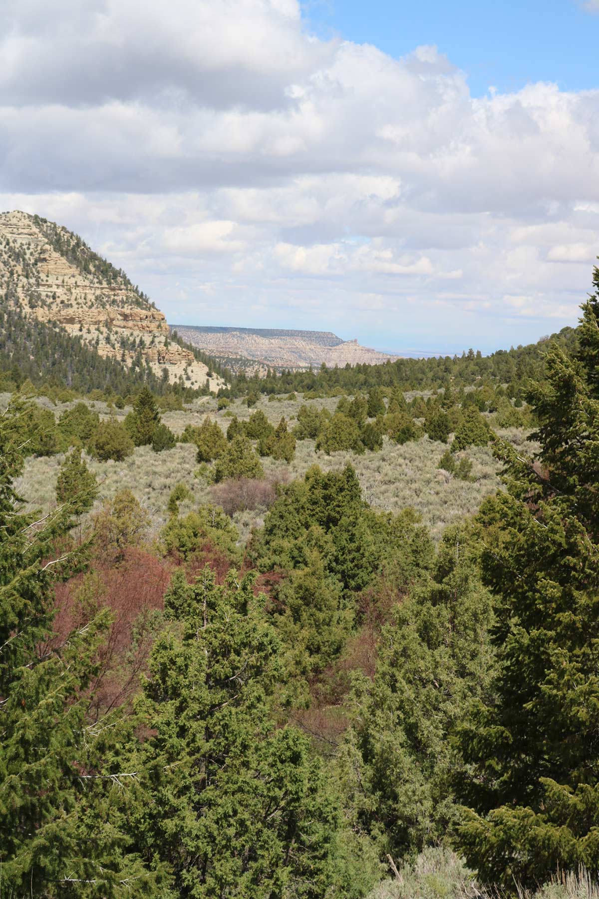 Bitter Creek Ranch property picture 68 of 135