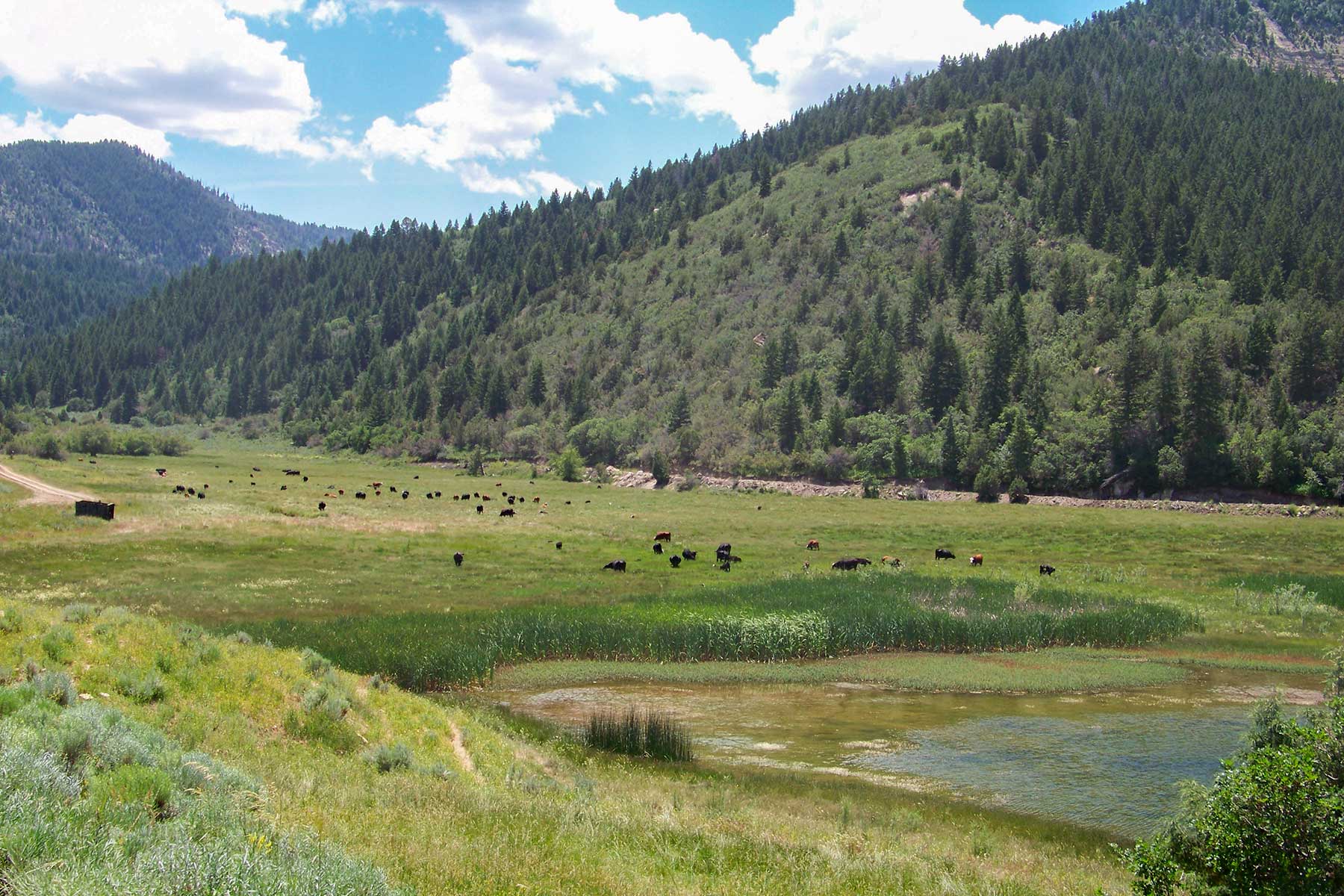 Bitter Creek Ranch Sold Colorado Hall and Hall