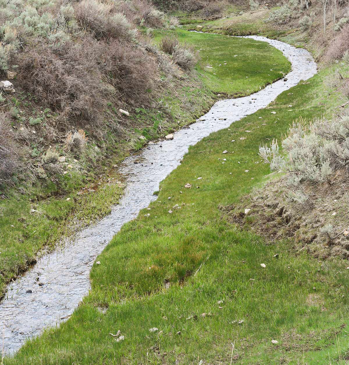 Bitter Creek Ranch property picture 63 of 135