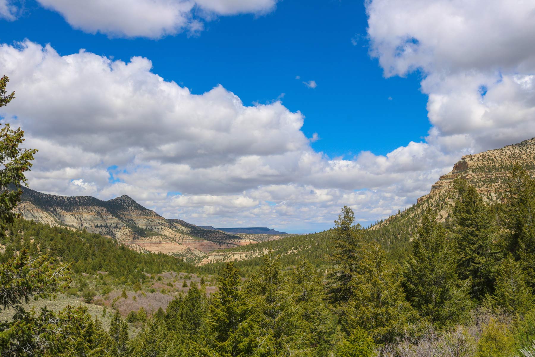 Bitter Creek Ranch property picture 70 of 135