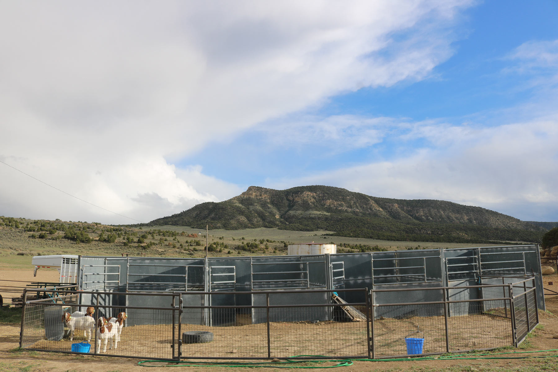Bitter Creek Ranch property picture 44 of 135