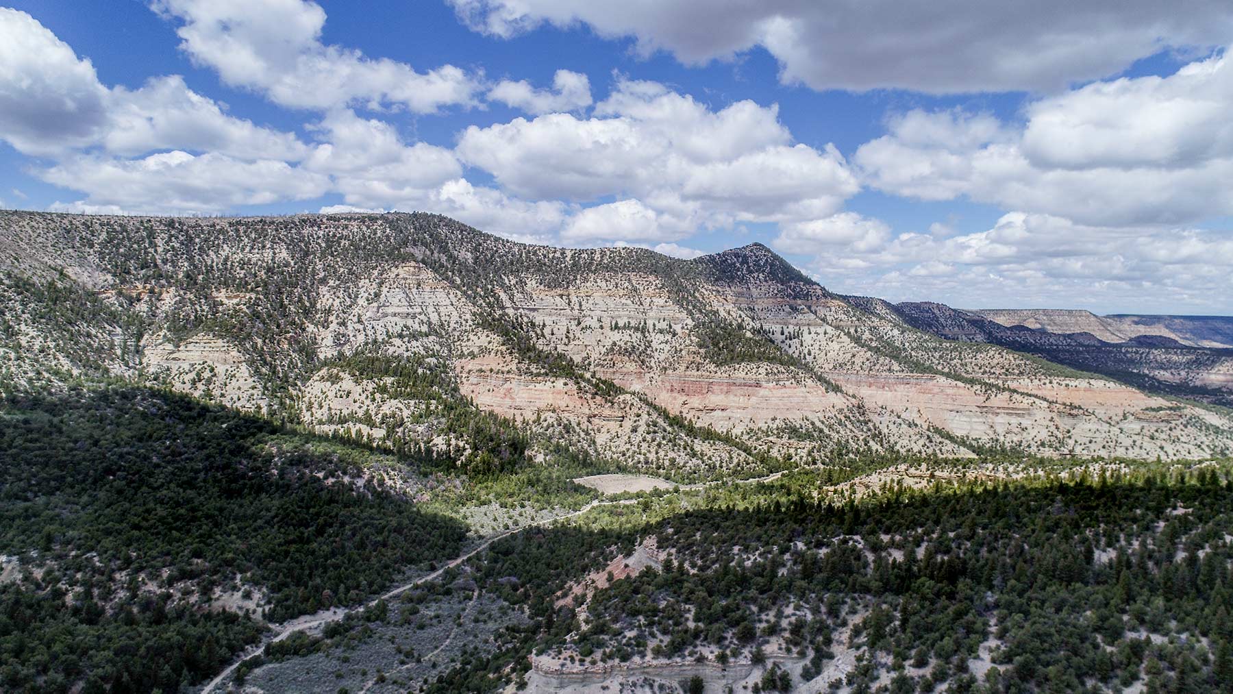 Bitter Creek Ranch property picture 17 of 135