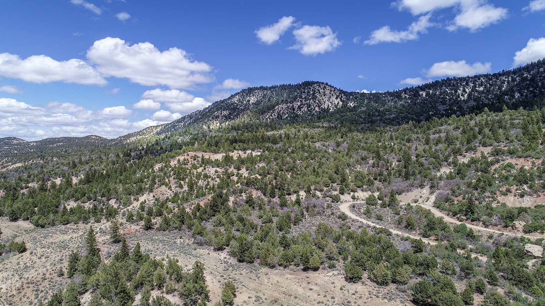 Bitter Creek Ranch property picture 23 of 135