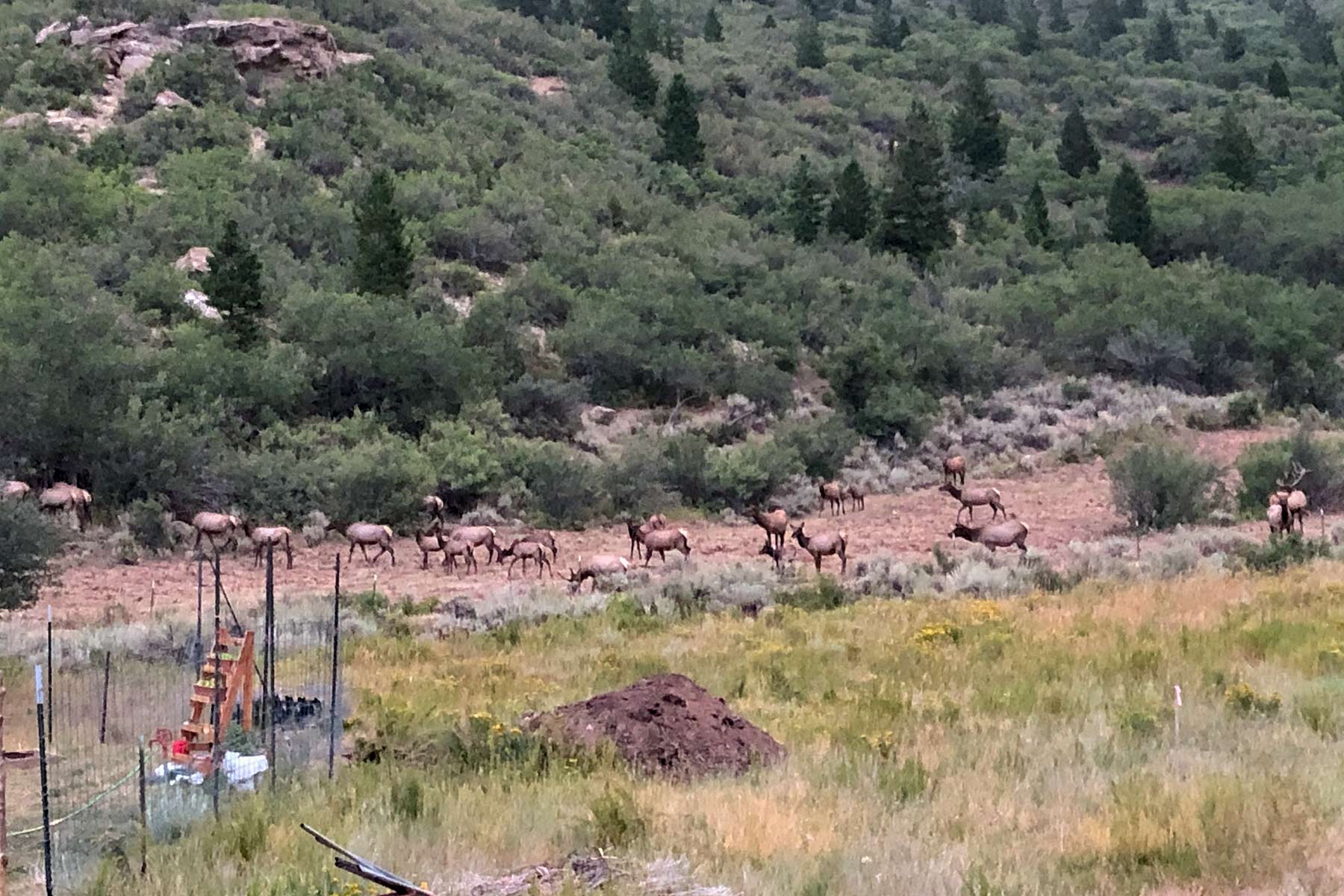 Bitter Creek Ranch property picture 6 of 135