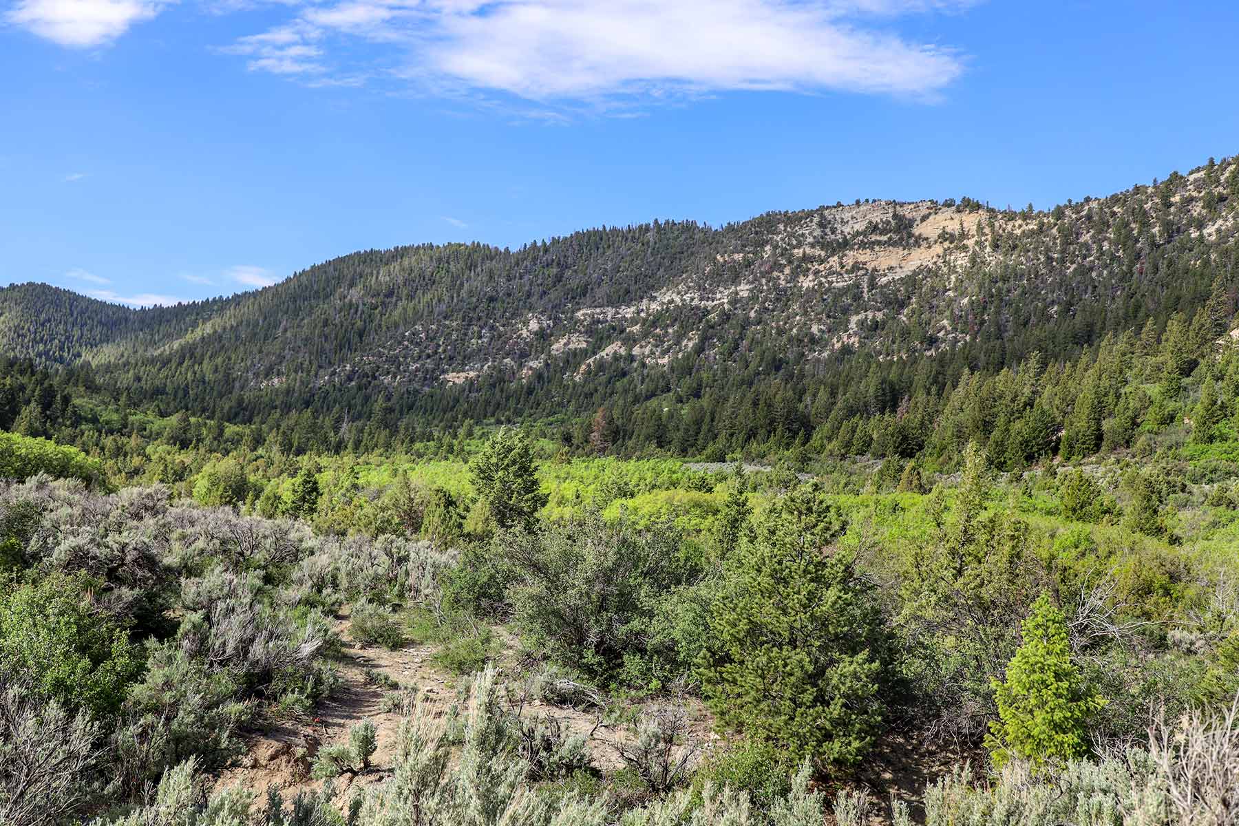 Bitter Creek Ranch property picture 89 of 135